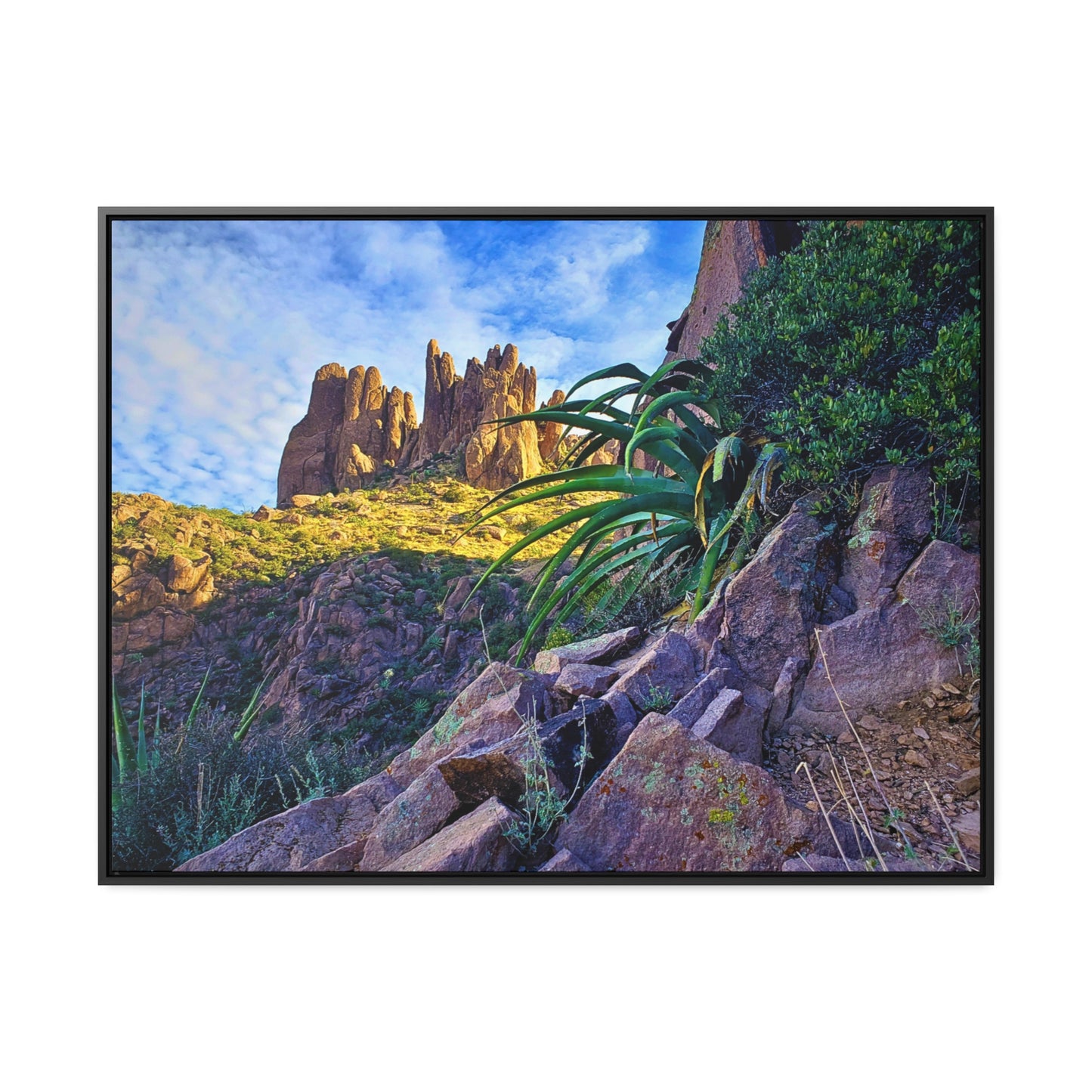 Framed Canvas Print: Succulents and Spires; Arizona Photography, Wall Art, Natural Landscape Home Decor for Hikers and Nature Lovers!