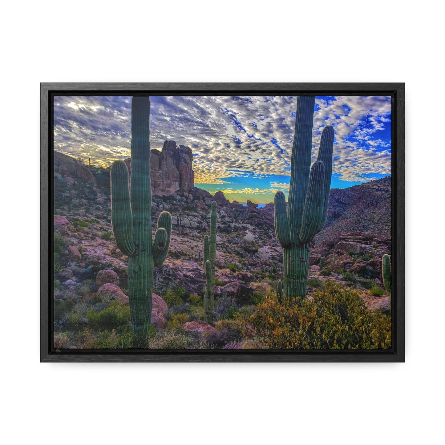 Framed Canvas Gallery Wraps: Mountaintop Saguaros; Arizona Photography, Wall Art, Natural Landscape Home Decor for Hikers and Nature Lovers!