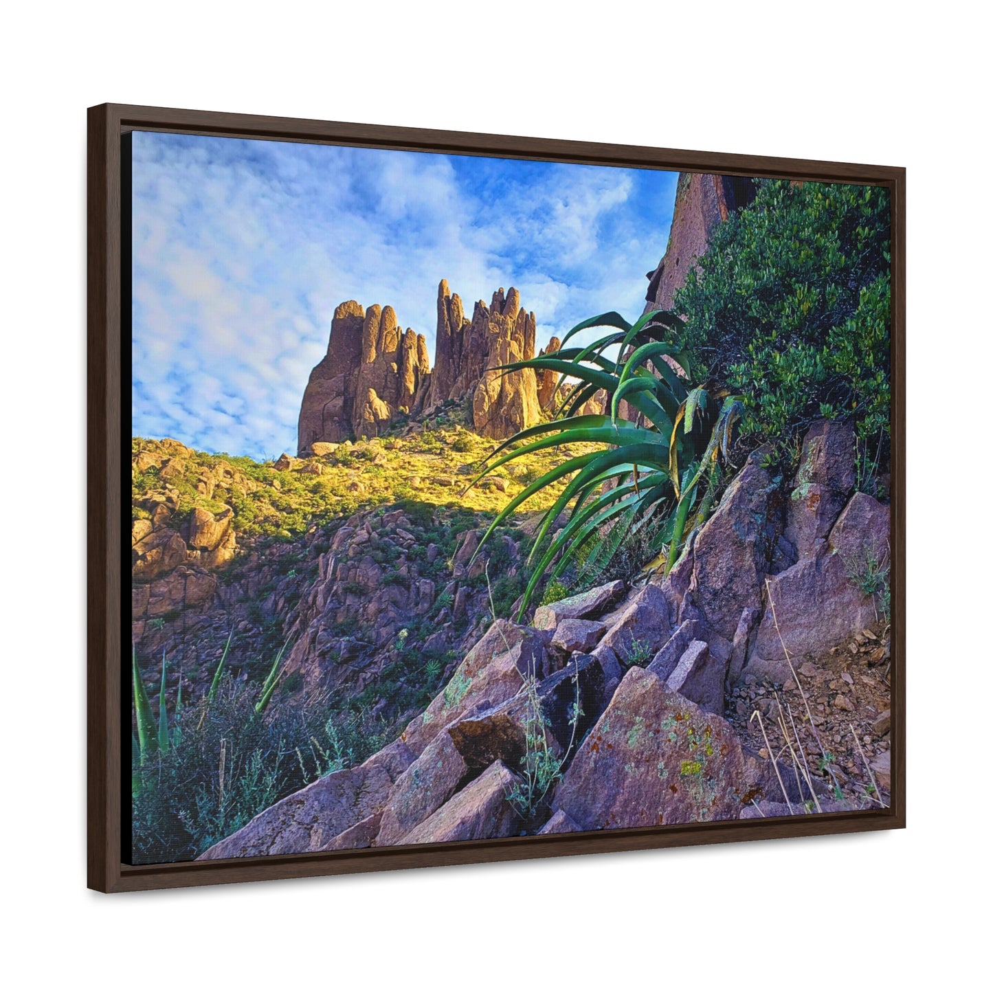 Framed Canvas Print: Succulents and Spires; Arizona Photography, Wall Art, Natural Landscape Home Decor for Hikers and Nature Lovers!