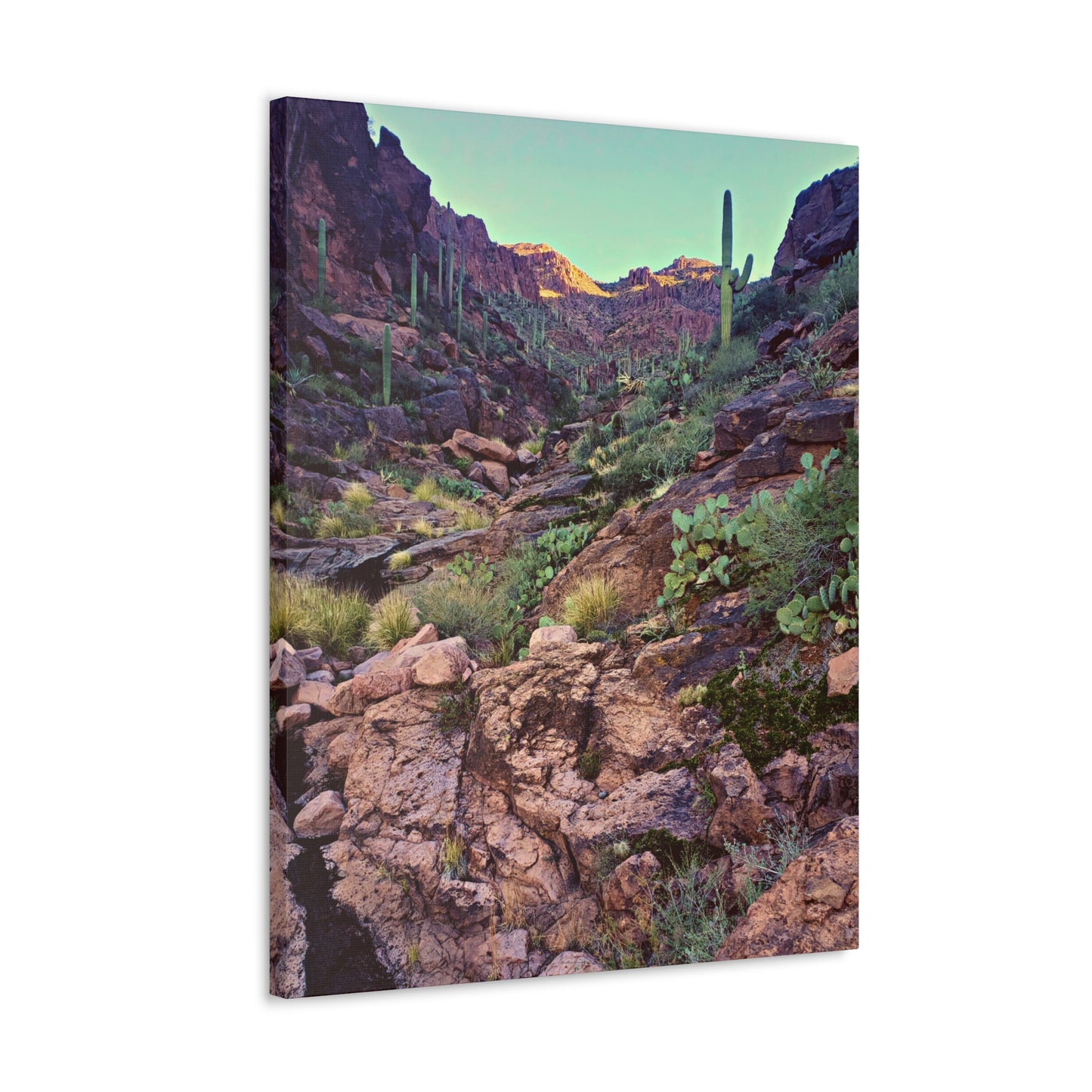 Canvas Gallery Wraps: A View Up the Canyon; Arizona Photography, Wall Art, Natural Landscape Home Decor for Hikers and Nature Lovers!