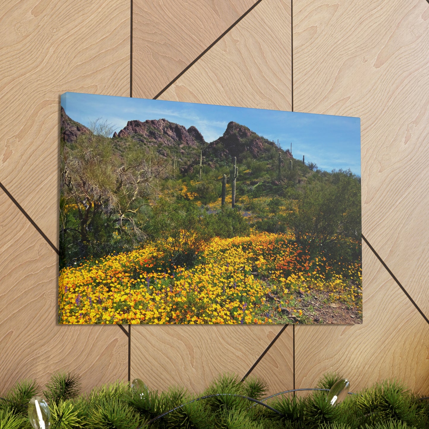 Canvas Gallery Wraps: Desert Wildflowers; Arizona Photography, Wall Art, Natural Landscape Home Decor for Hikers and Nature Lovers!