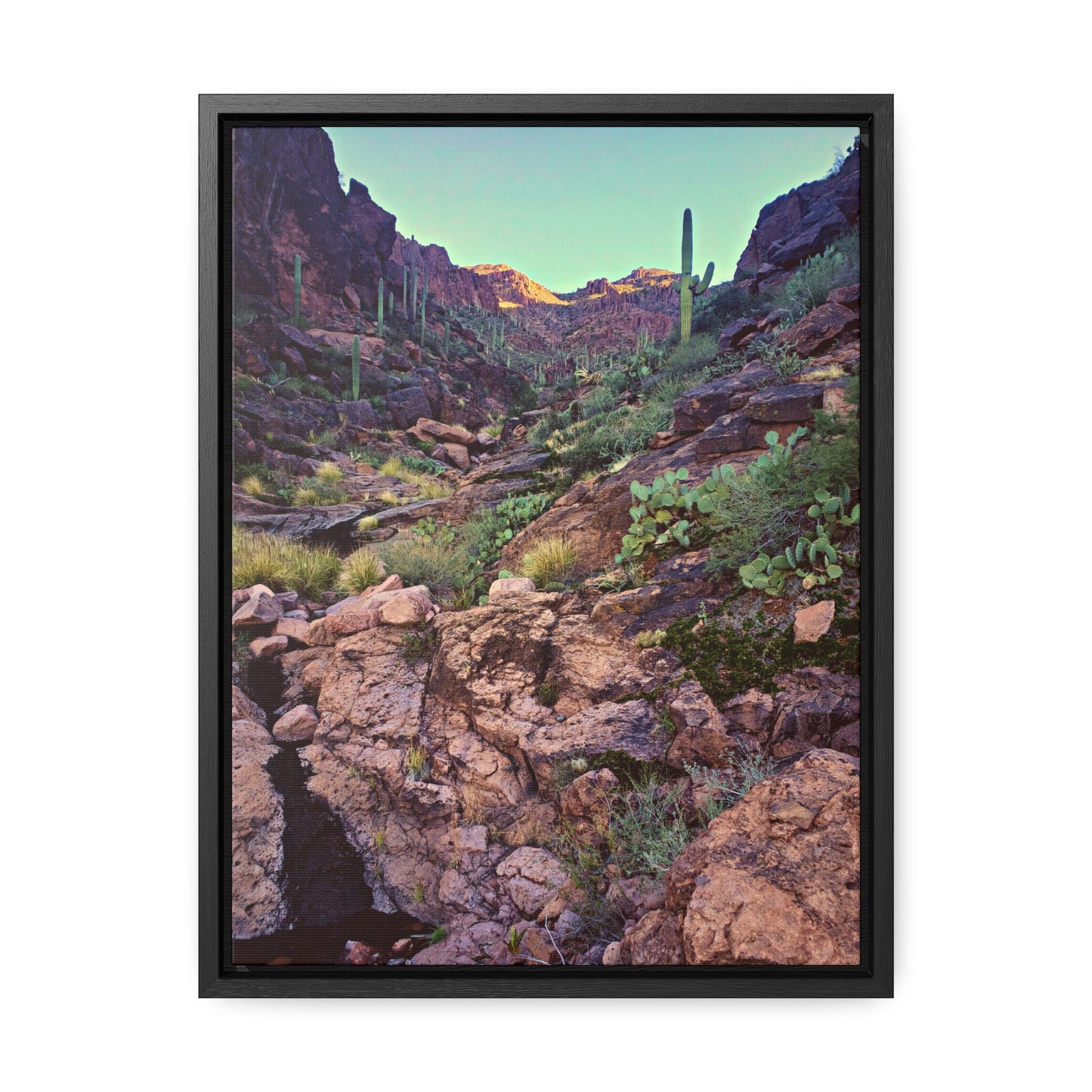 Framed Canvas Gallery Wraps: A View Up the Canyon; Arizona Photography, Wall Art, Natural Landscape Home Decor for Hikers and Nature Lovers!