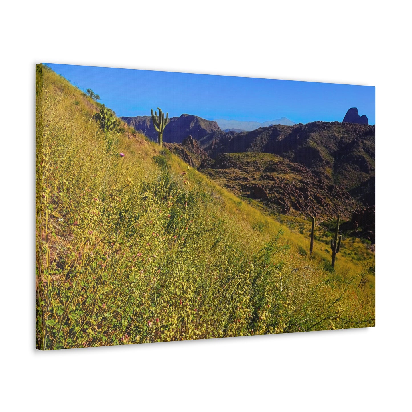 Canvas Gallery Wrap: Three Sisters Summit; Arizona Photography, Wall Art, Natural Landscape Home Decor for Hikers and Nature Lovers!