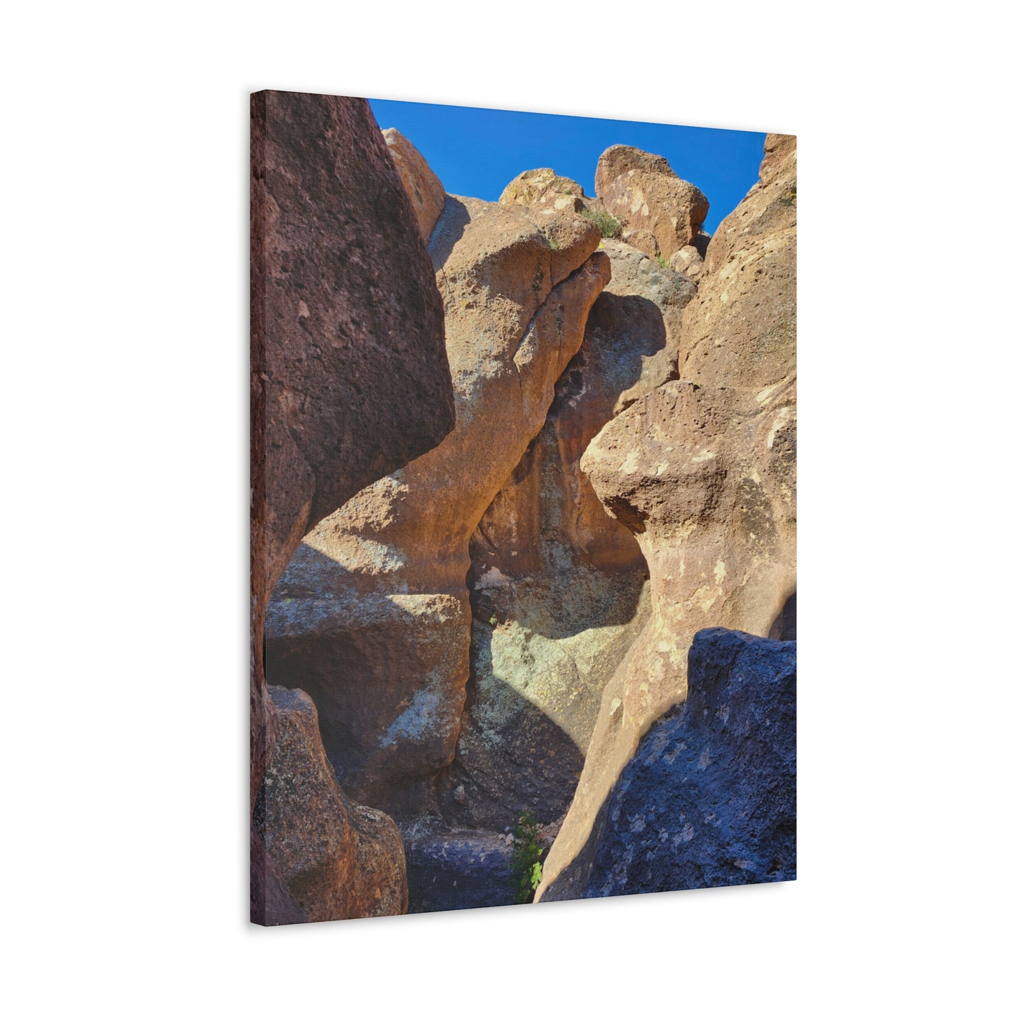 Dinosaurs in Stone; Arizona Photography, Wall Art, Natural Landscape Home Decor for Hikers and Nature Lovers!