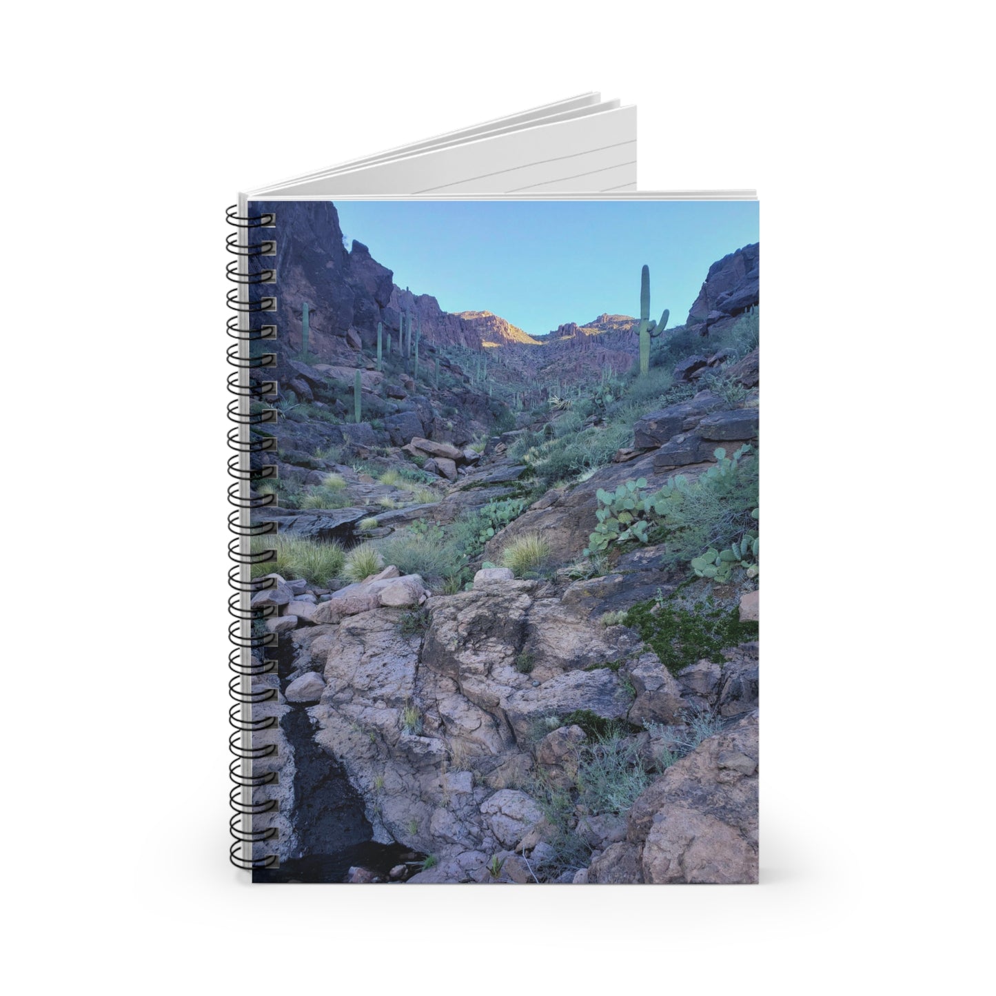 Spiral Notebook: A View Up the Canyon; A Writing Journal to Log Your Travels and Adventures, for Hikers and Nature Lovers!