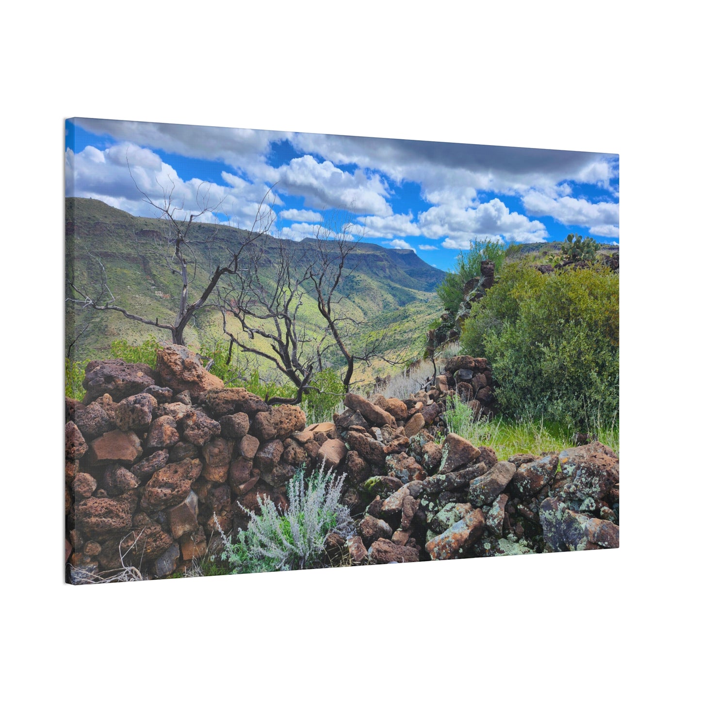 The Ruins of Skull Mesa (#5); Arizona Photography, Wall Art, Natural Landscape Home Decor for Hikers and Nature Lovers!