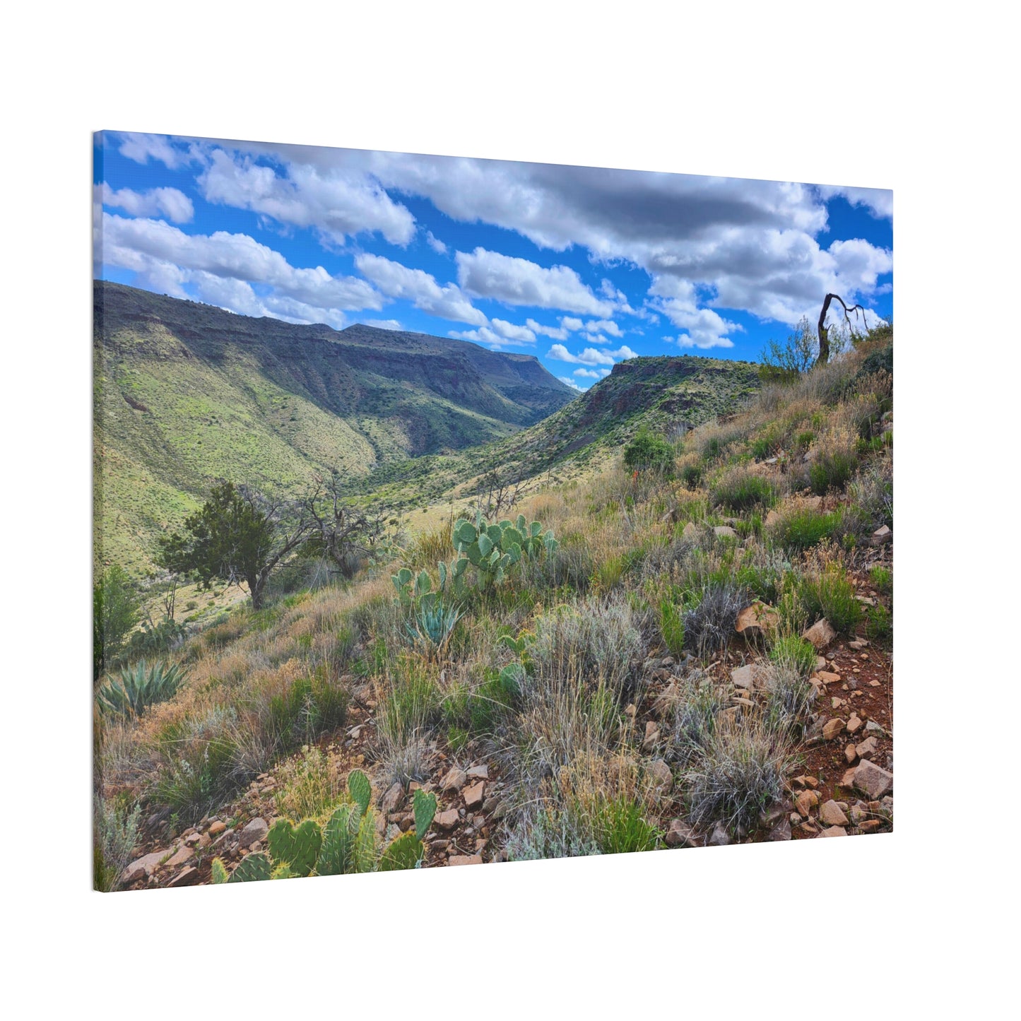 From a Spit off Skull Mesa; Arizona Photography, Wall Art, Natural Landscape Home Decor for Hikers and Nature Lovers!