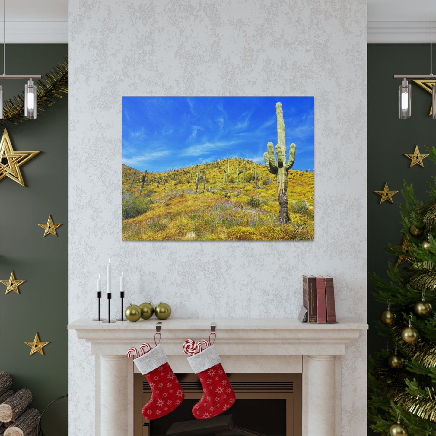 Canvas Gallery Wrap: Cave Creek Blooms; Arizona Photography, Wall Art, Natural Landscape Home Decor for Hikers and Nature Lovers!