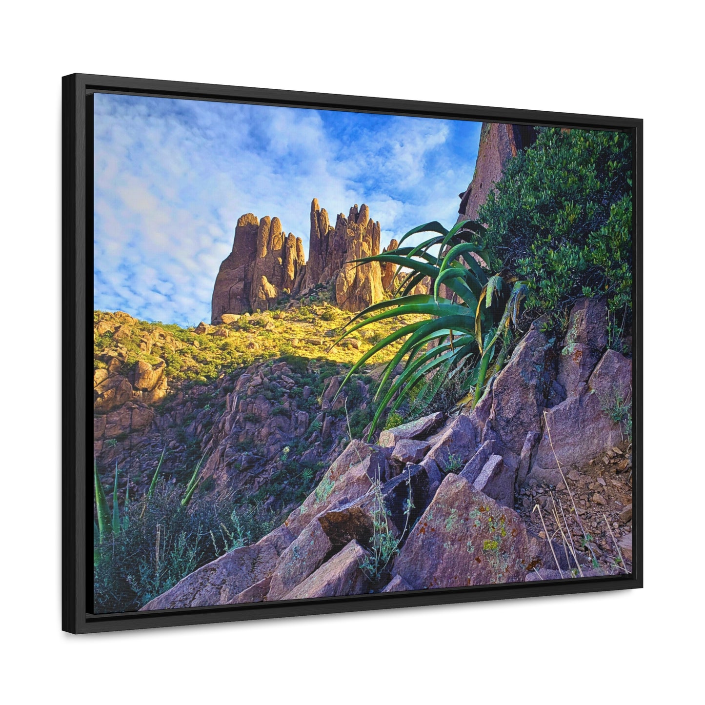 Framed Canvas Print: Succulents and Spires; Arizona Photography, Wall Art, Natural Landscape Home Decor for Hikers and Nature Lovers!