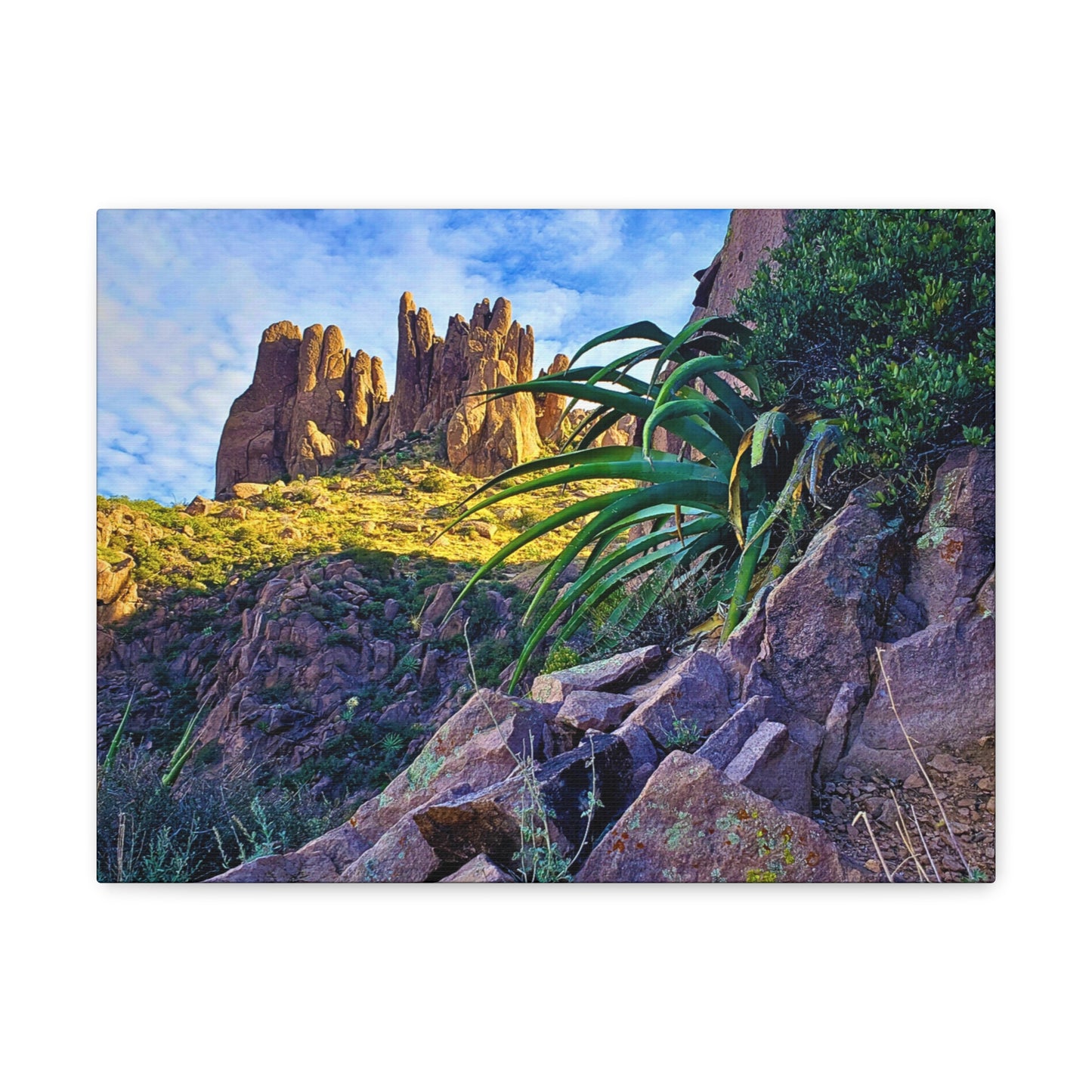 Canvas Gallery Wraps: Succulents and Spires; Arizona Photography, Wall Art, Natural Landscape Home Decor for Hikers and Nature Lovers!