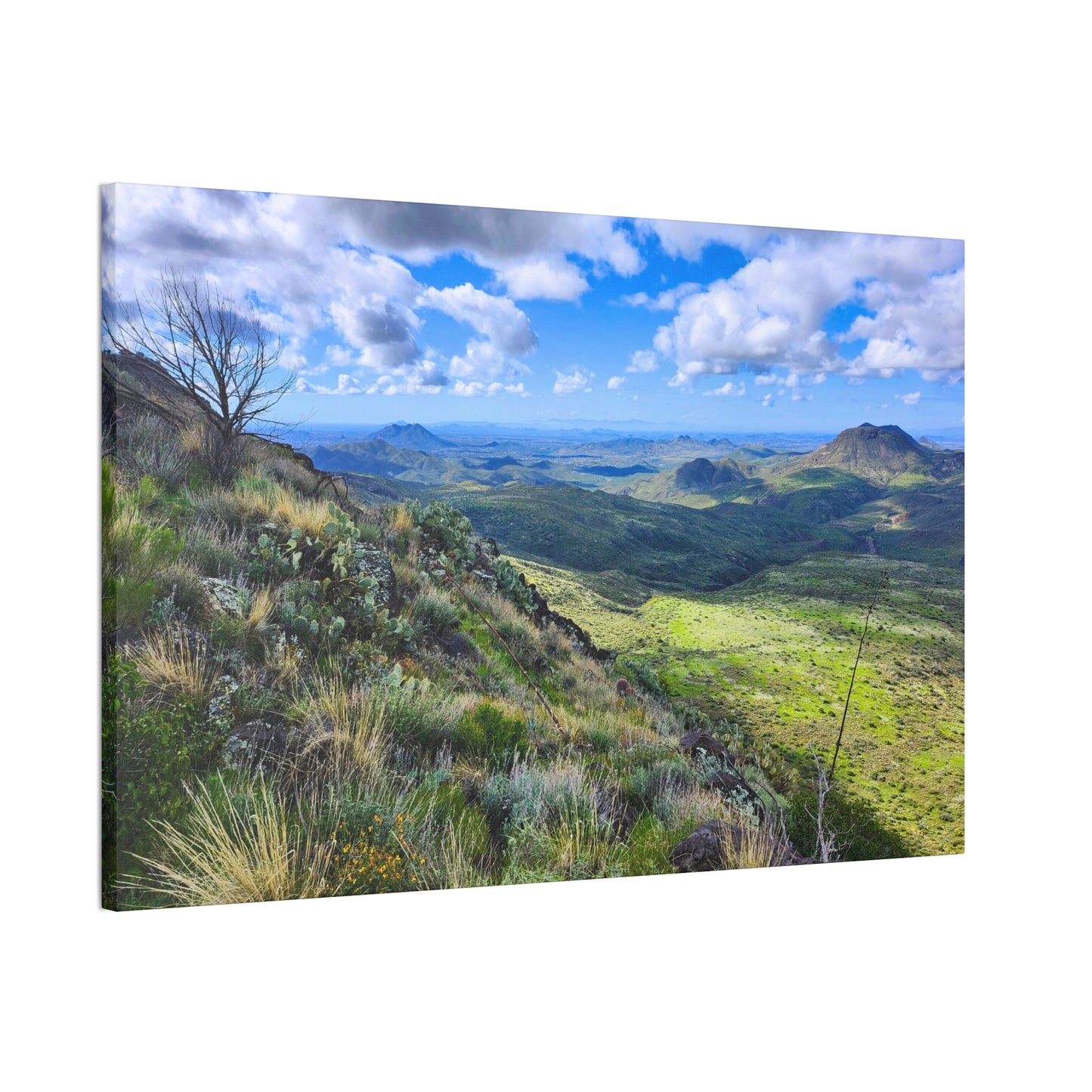 A Gorgeous View from Skull Mesa; Arizona Photography, Wall Art, Natural Landscape Home Decor for Hikers and Nature Lovers!