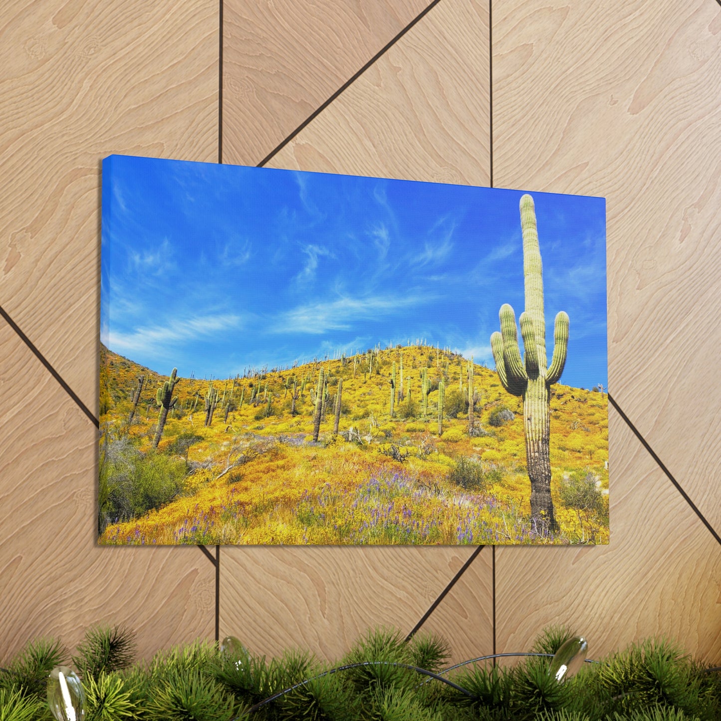 Canvas Gallery Wrap: Cave Creek Blooms; Arizona Photography, Wall Art, Natural Landscape Home Decor for Hikers and Nature Lovers!