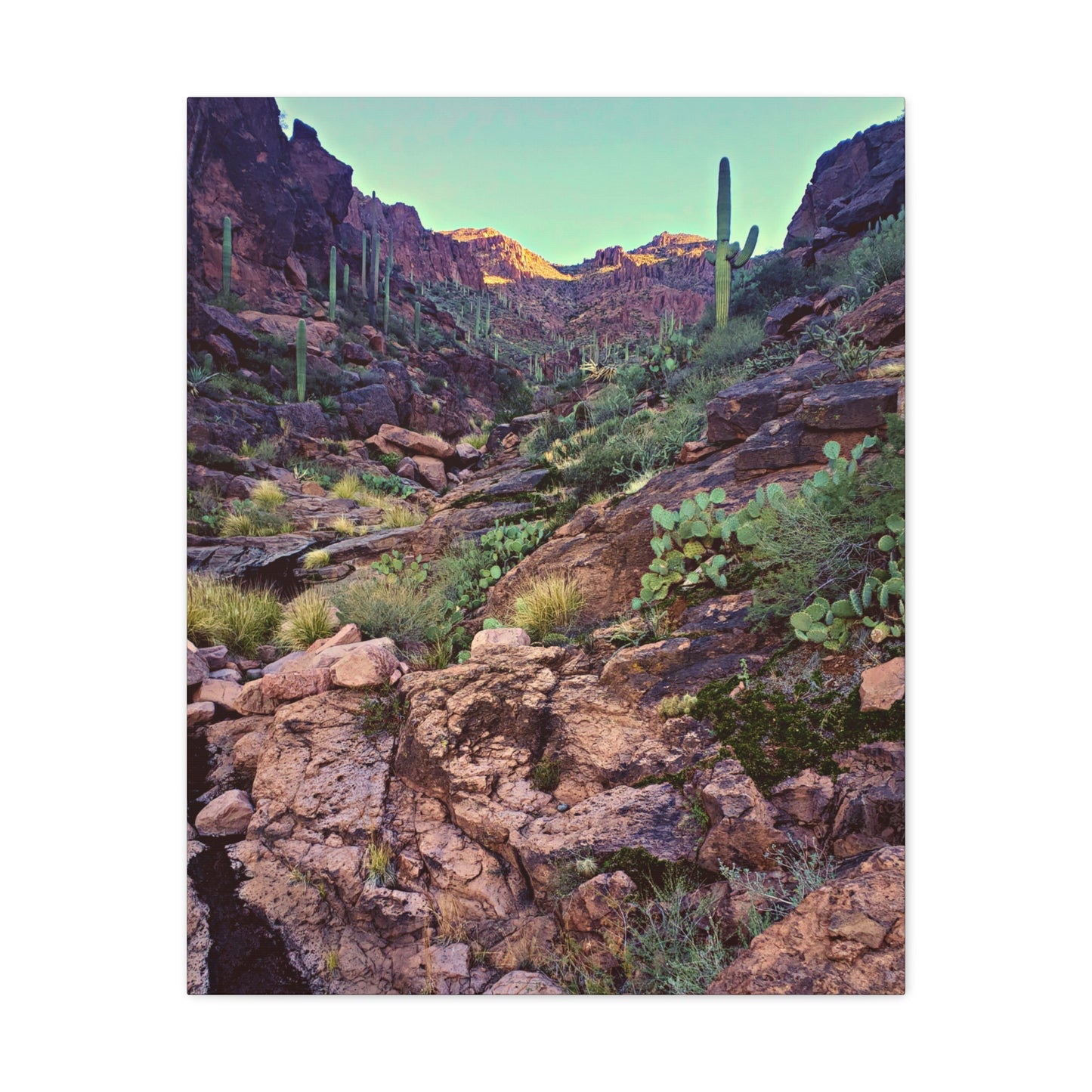 Canvas Gallery Wraps: A View Up the Canyon; Arizona Photography, Wall Art, Natural Landscape Home Decor for Hikers and Nature Lovers!