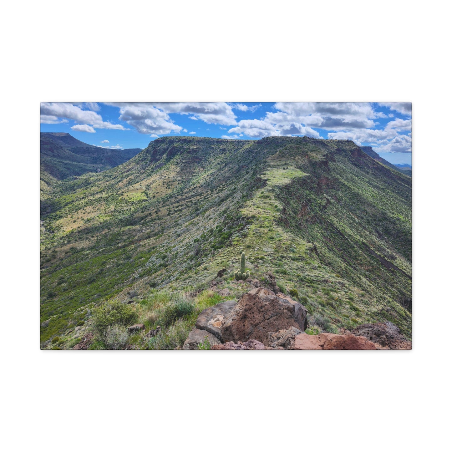 Looking Back at Skull Mesa; Arizona Photography, Wall Art, Natural Landscape Home Decor for Hikers and Nature Lovers!