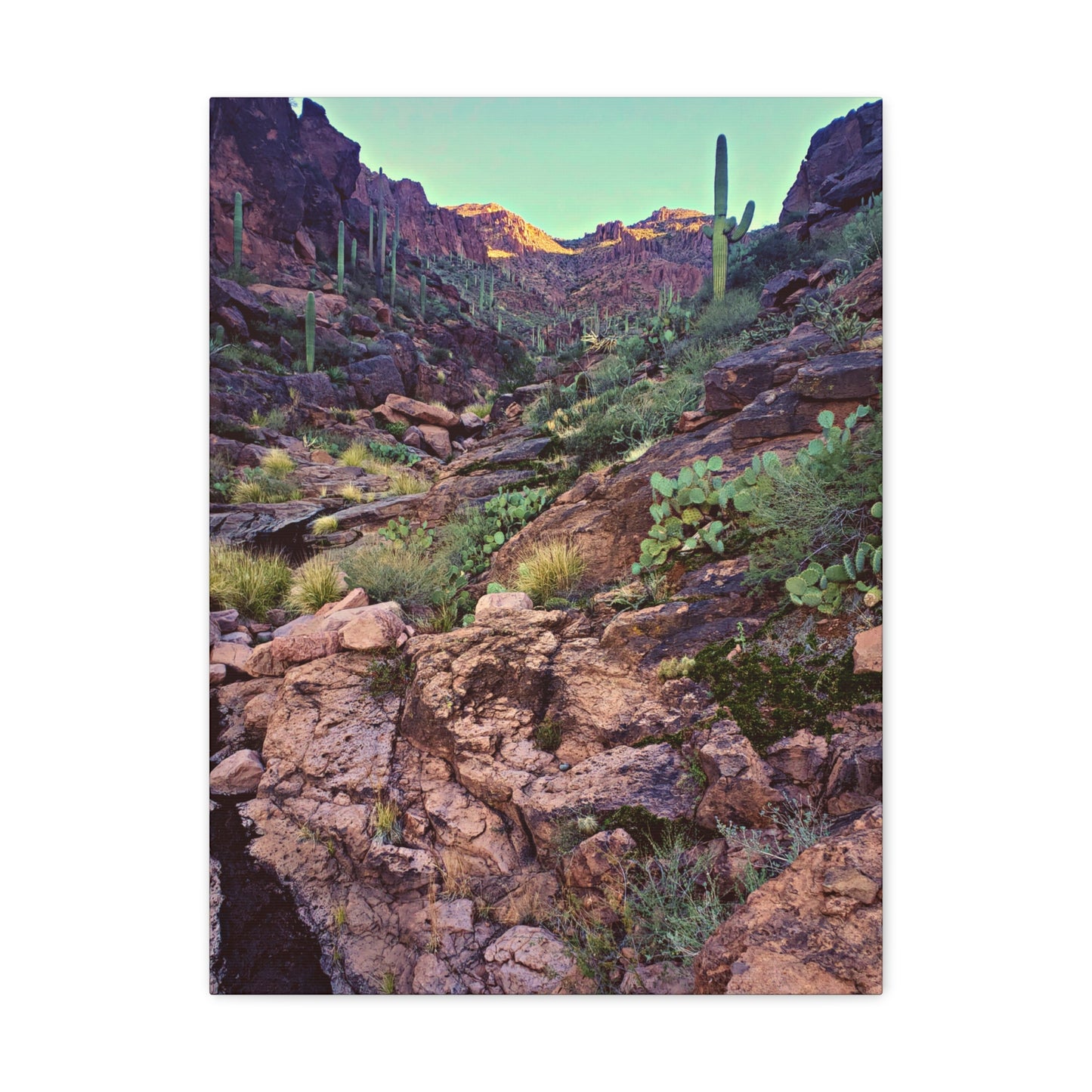 Canvas Gallery Wraps: A View Up the Canyon; Arizona Photography, Wall Art, Natural Landscape Home Decor for Hikers and Nature Lovers!