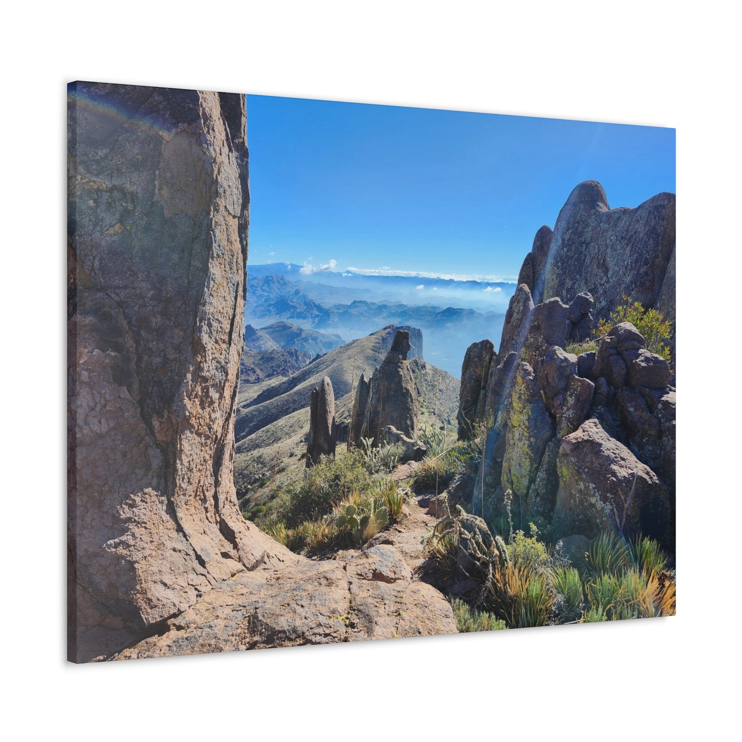 Amongst Giants in the Superstition Mountains; Arizona Photography, Wall Art, Natural Landscape Home Decor for Hikers and Nature Lovers!