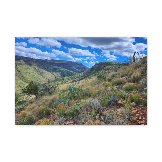 From a Spit off Skull Mesa; Arizona Photography, Wall Art, Natural Landscape Home Decor for Hikers and Nature Lovers!