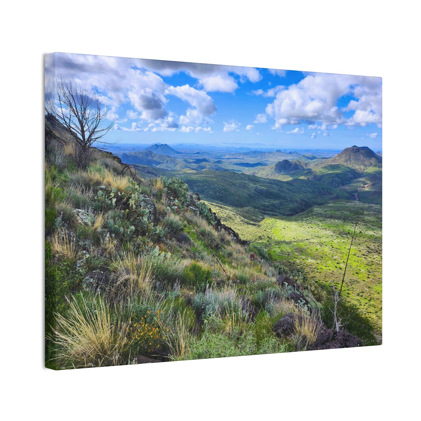 A Gorgeous View from Skull Mesa; Arizona Photography, Wall Art, Natural Landscape Home Decor for Hikers and Nature Lovers!