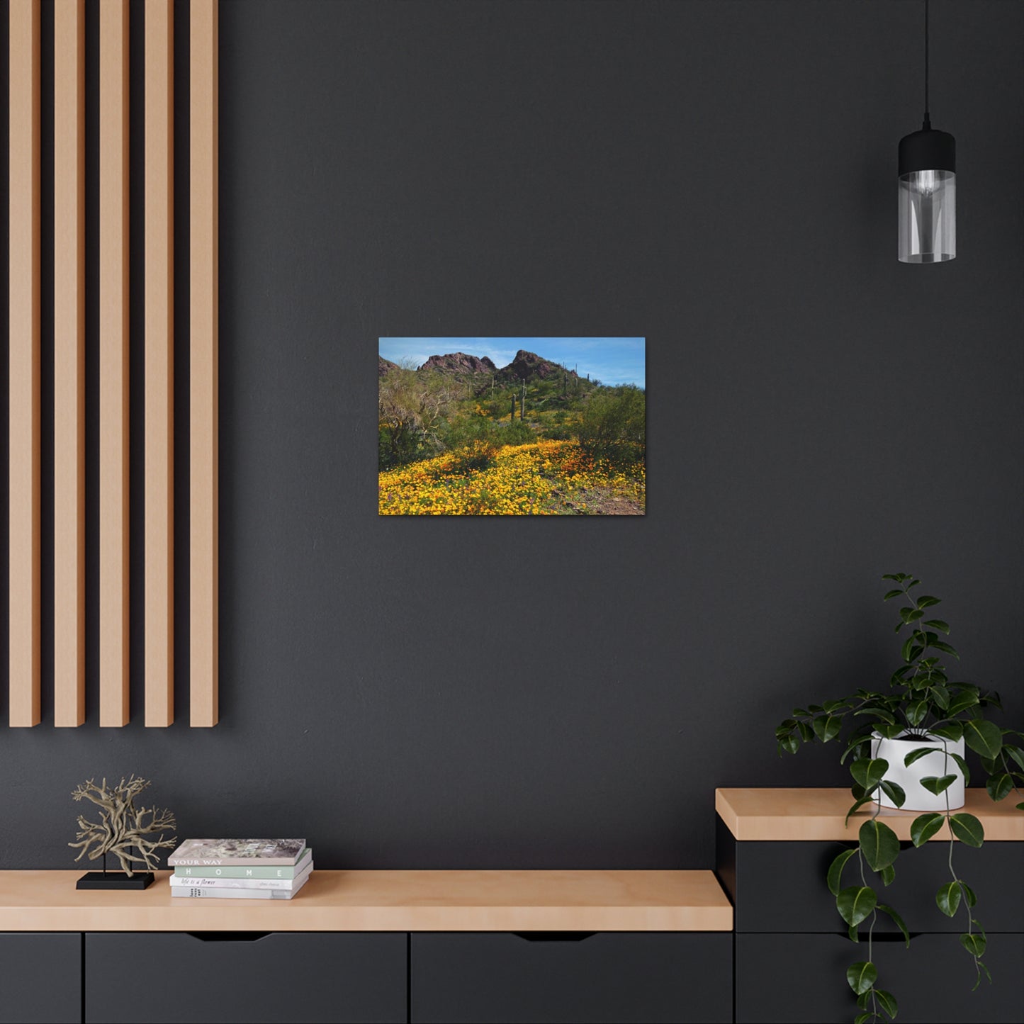 Canvas Gallery Wraps: Desert Wildflowers; Arizona Photography, Wall Art, Natural Landscape Home Decor for Hikers and Nature Lovers!