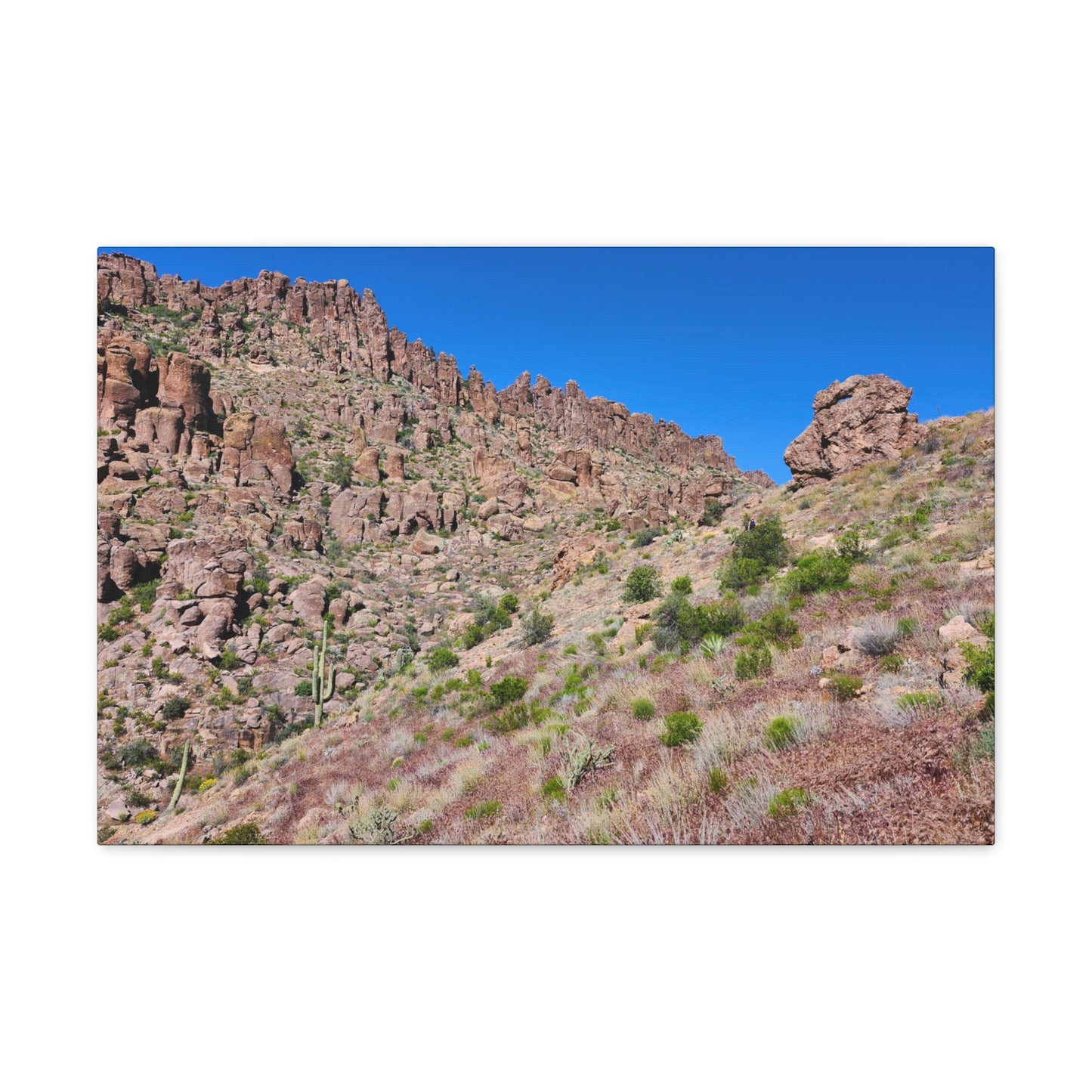 Beyond the Fremont Saddle (#2); Arizona Photography, Wall Art, Natural Landscape Home Decor for Hikers and Nature Lovers!