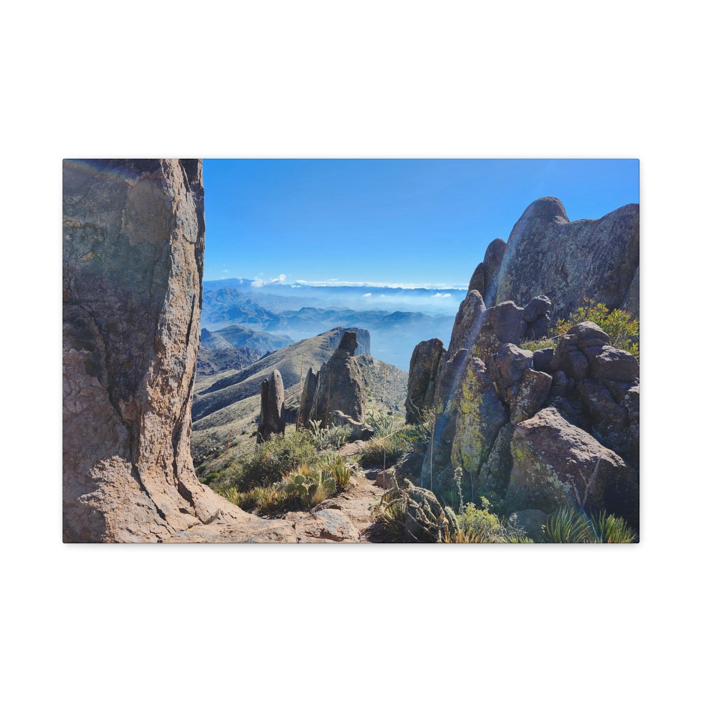 Amongst Giants in the Superstition Mountains; Arizona Photography, Wall Art, Natural Landscape Home Decor for Hikers and Nature Lovers!