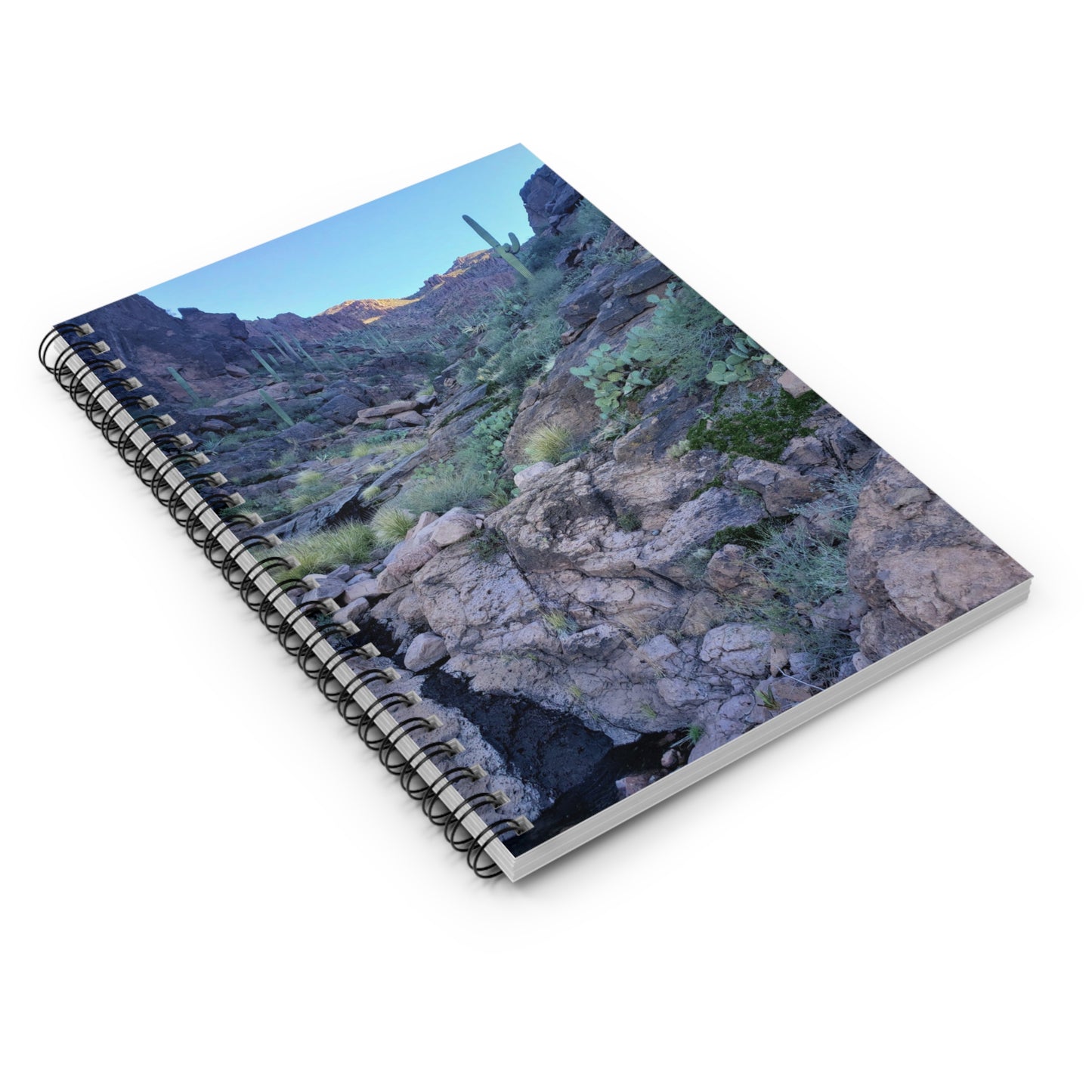 Spiral Notebook: A View Up the Canyon; A Writing Journal to Log Your Travels and Adventures, for Hikers and Nature Lovers!