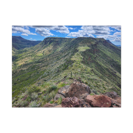 Looking Back at Skull Mesa; Arizona Photography, Wall Art, Natural Landscape Home Decor for Hikers and Nature Lovers!