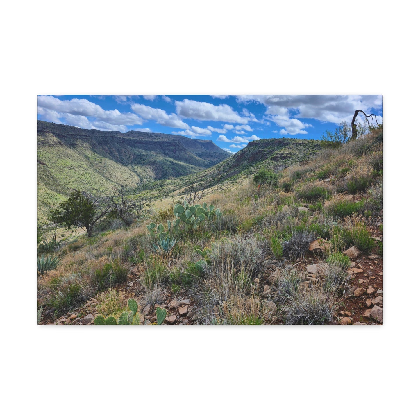 From a Spit off Skull Mesa; Arizona Photography, Wall Art, Natural Landscape Home Decor for Hikers and Nature Lovers!