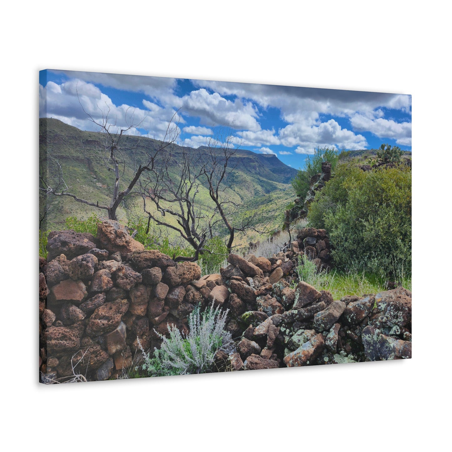 The Ruins of Skull Mesa (#5); Arizona Photography, Wall Art, Natural Landscape Home Decor for Hikers and Nature Lovers!