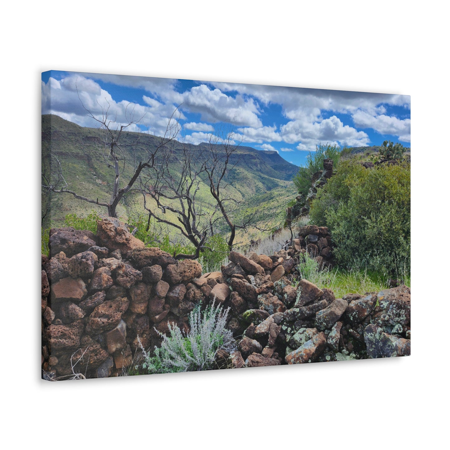 The Ruins of Skull Mesa (#5); Arizona Photography, Wall Art, Natural Landscape Home Decor for Hikers and Nature Lovers!