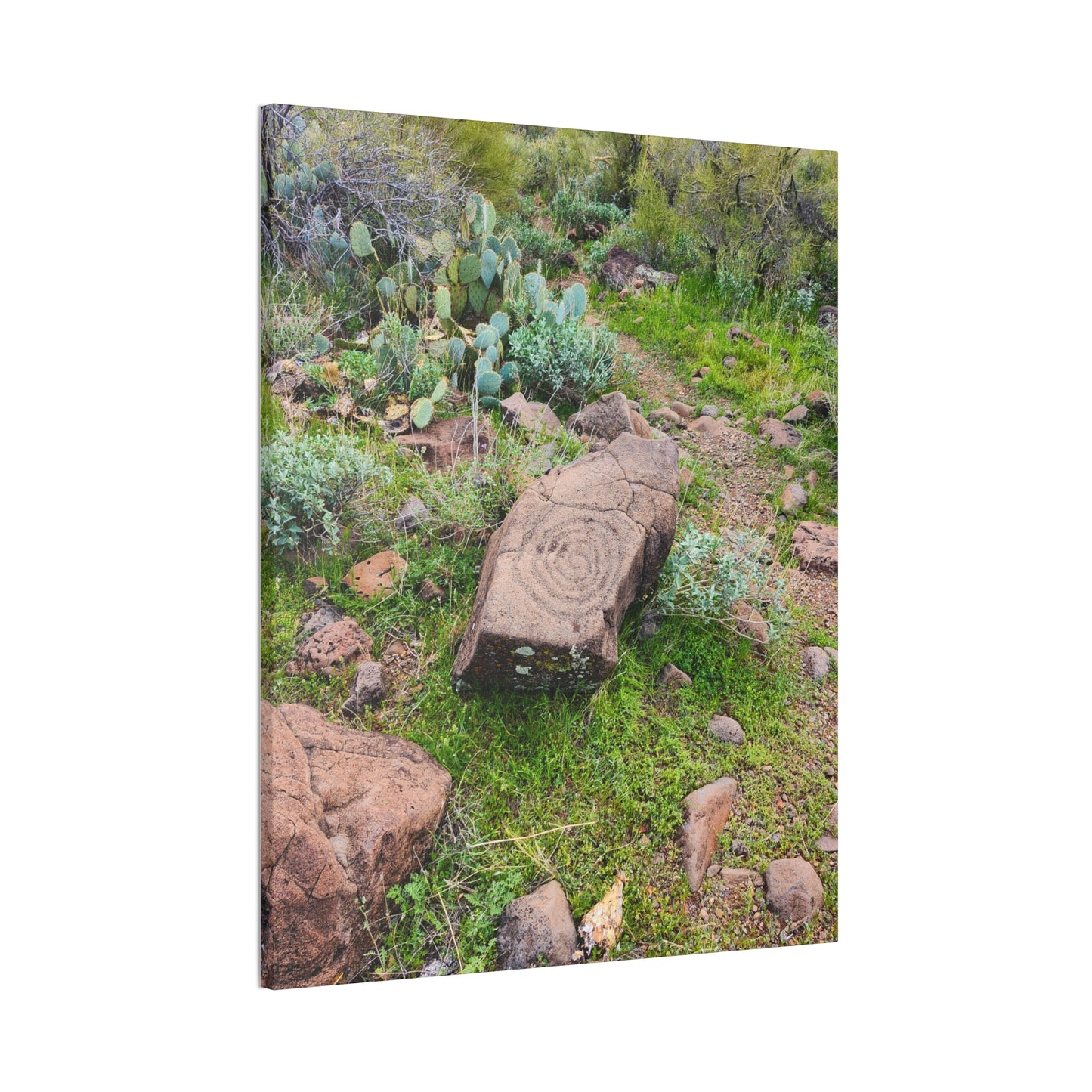 Petroglyphs of the Sonoran Desert; Arizona Photography, Wall Art, Natural Landscape Home Decor for Hikers and Nature Lovers!