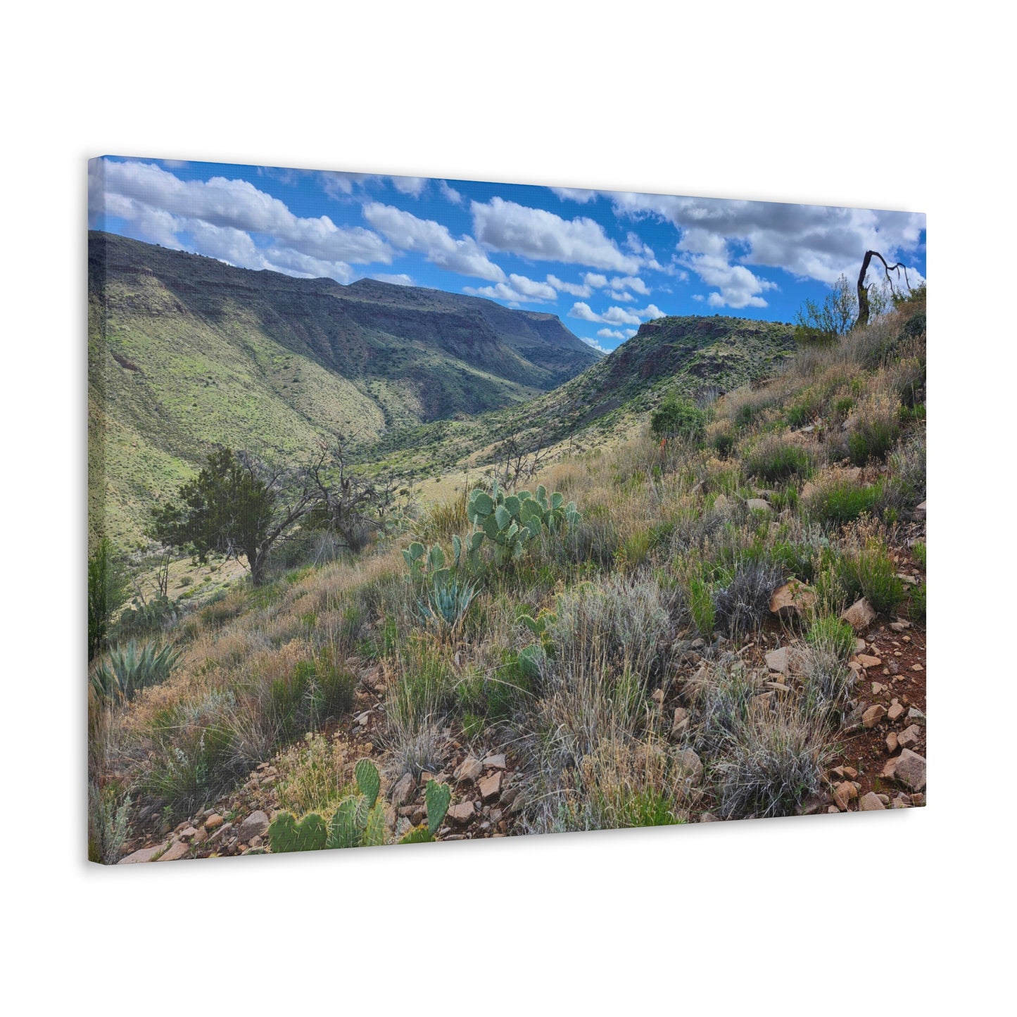 From a Spit off Skull Mesa; Arizona Photography, Wall Art, Natural Landscape Home Decor for Hikers and Nature Lovers!