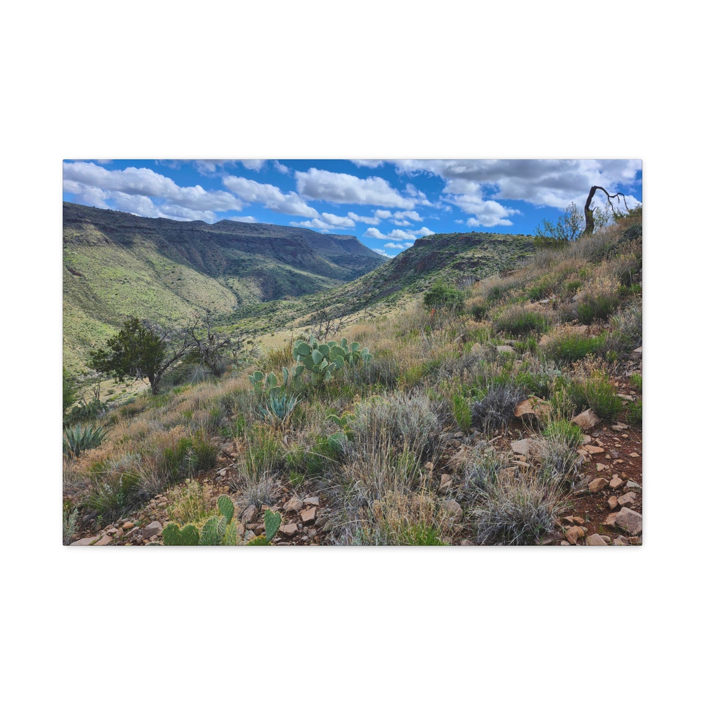 From a Spit off Skull Mesa; Arizona Photography, Wall Art, Natural Landscape Home Decor for Hikers and Nature Lovers!