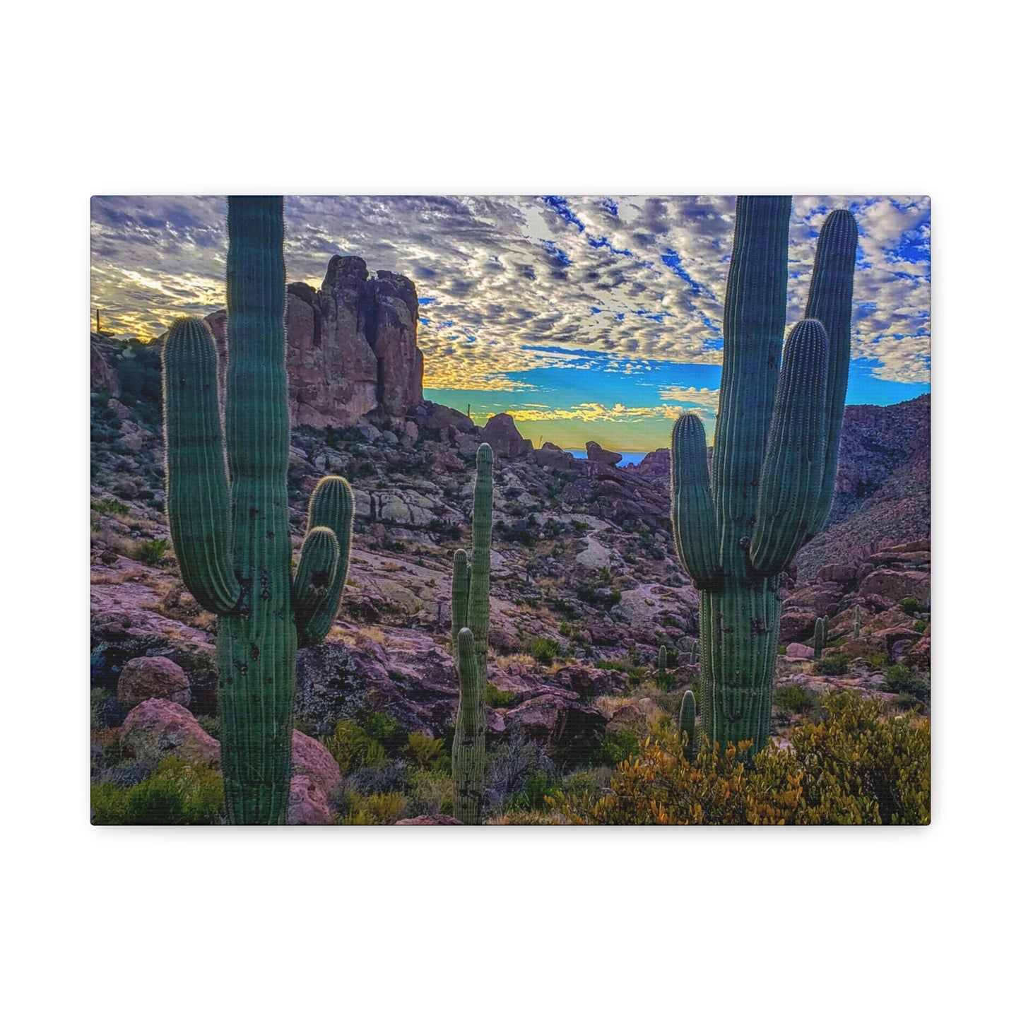 Canvas Gallery Wraps: Mountaintop Saguaros; Arizona Photography, Wall Art, Natural Landscape Home Decor for Hikers and Nature Lovers!