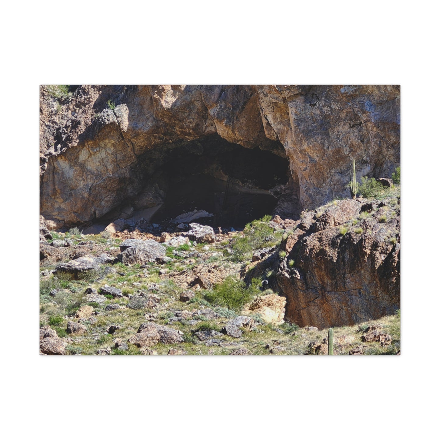 Bat Guano Cave and Bighorn Sheep; Arizona Photography, Wall Art, Natural Landscape Home Decor for Hikers and Nature Lovers!