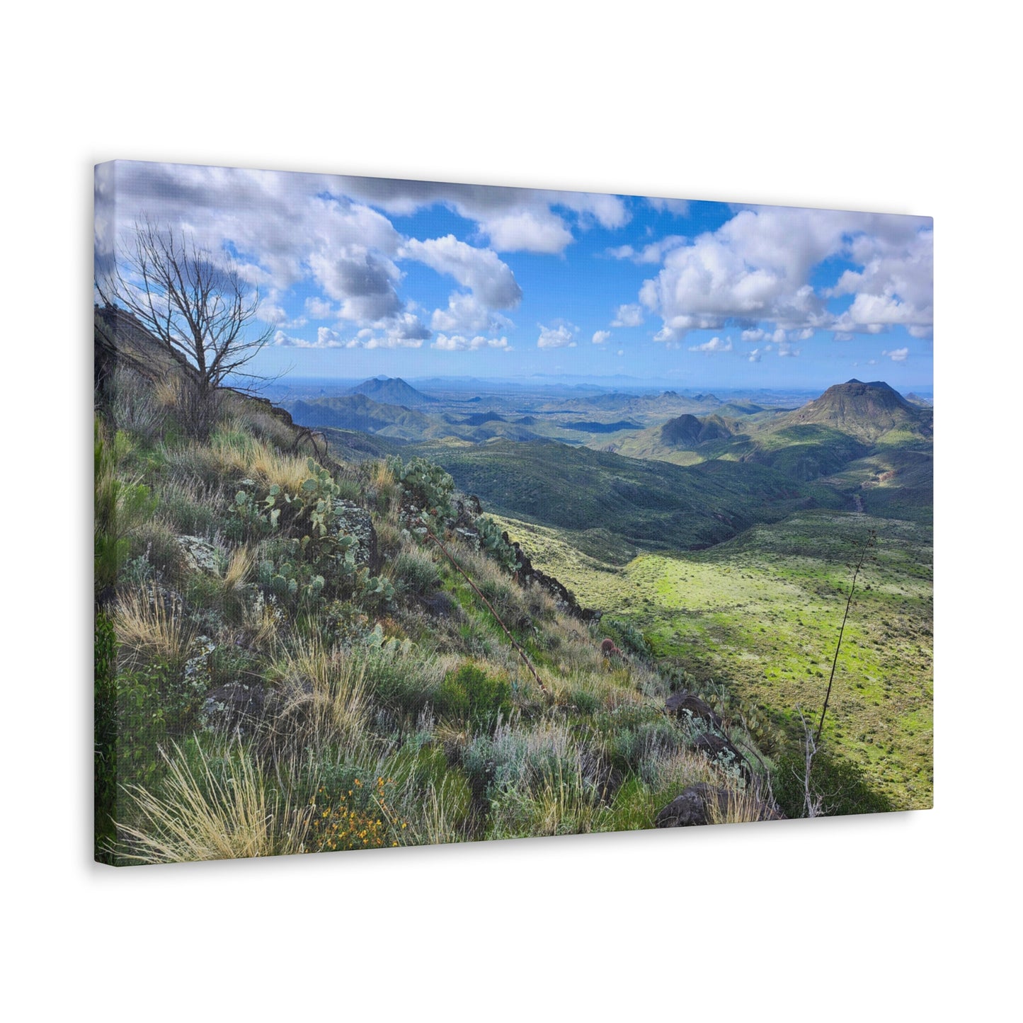 A Gorgeous View from Skull Mesa; Arizona Photography, Wall Art, Natural Landscape Home Decor for Hikers and Nature Lovers!