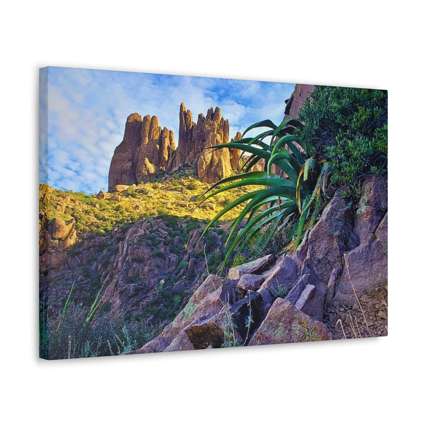 Canvas Gallery Wraps: Succulents and Spires; Arizona Photography, Wall Art, Natural Landscape Home Decor for Hikers and Nature Lovers!