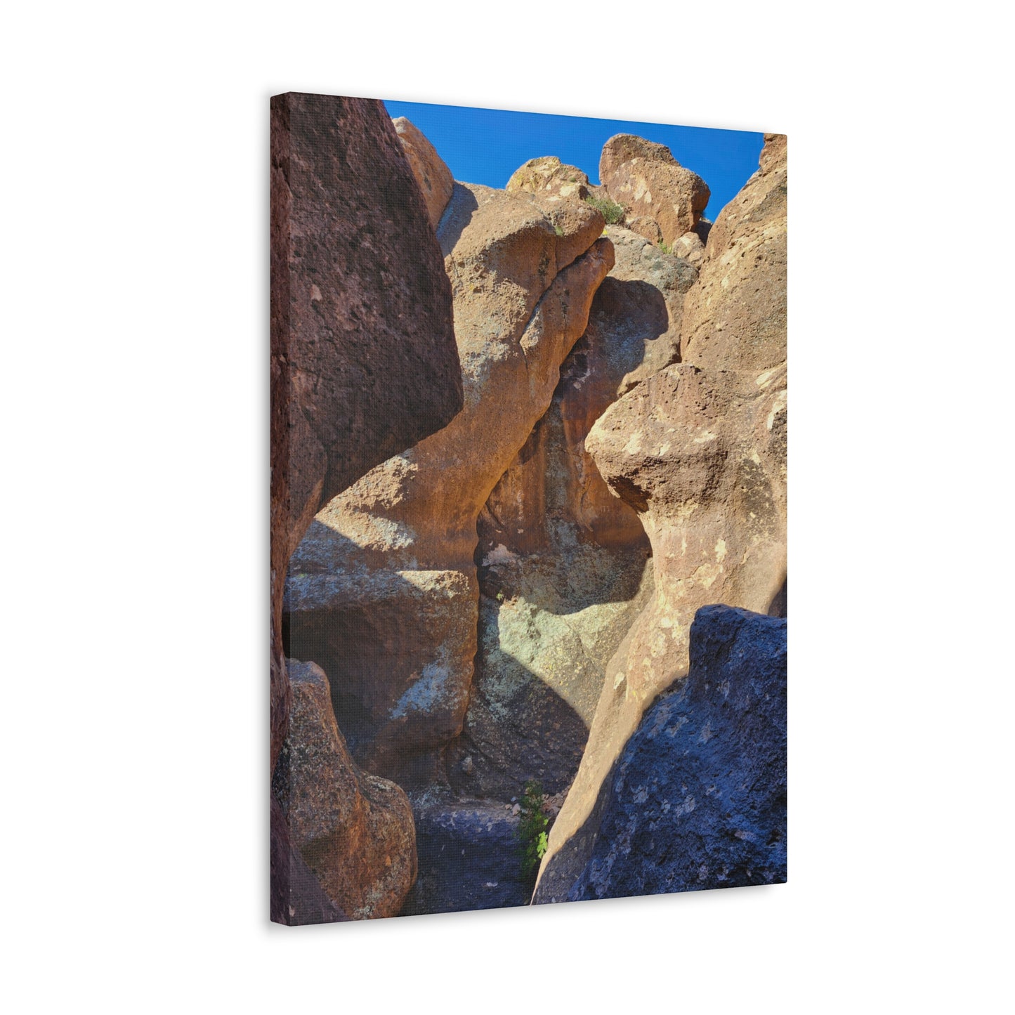 Dinosaurs in Stone; Arizona Photography, Wall Art, Natural Landscape Home Decor for Hikers and Nature Lovers!