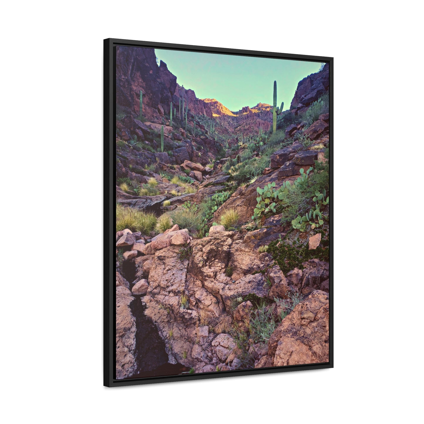 Framed Canvas Gallery Wraps: A View Up the Canyon; Arizona Photography, Wall Art, Natural Landscape Home Decor for Hikers and Nature Lovers!