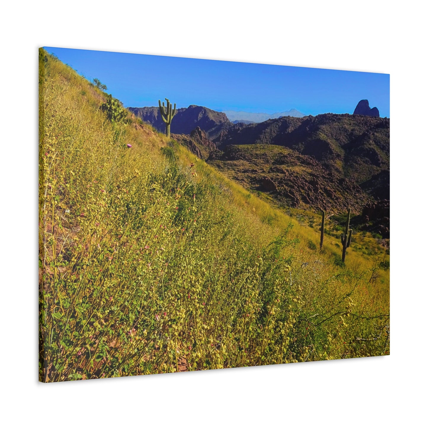 Canvas Gallery Wrap: Three Sisters Summit; Arizona Photography, Wall Art, Natural Landscape Home Decor for Hikers and Nature Lovers!