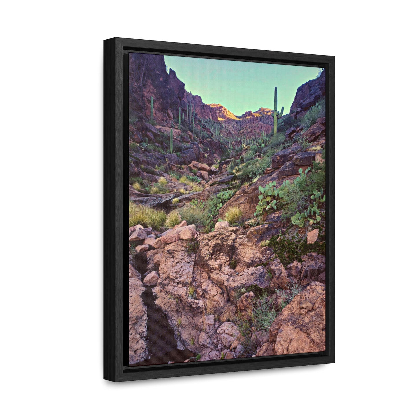 Framed Canvas Gallery Wraps: A View Up the Canyon; Arizona Photography, Wall Art, Natural Landscape Home Decor for Hikers and Nature Lovers!