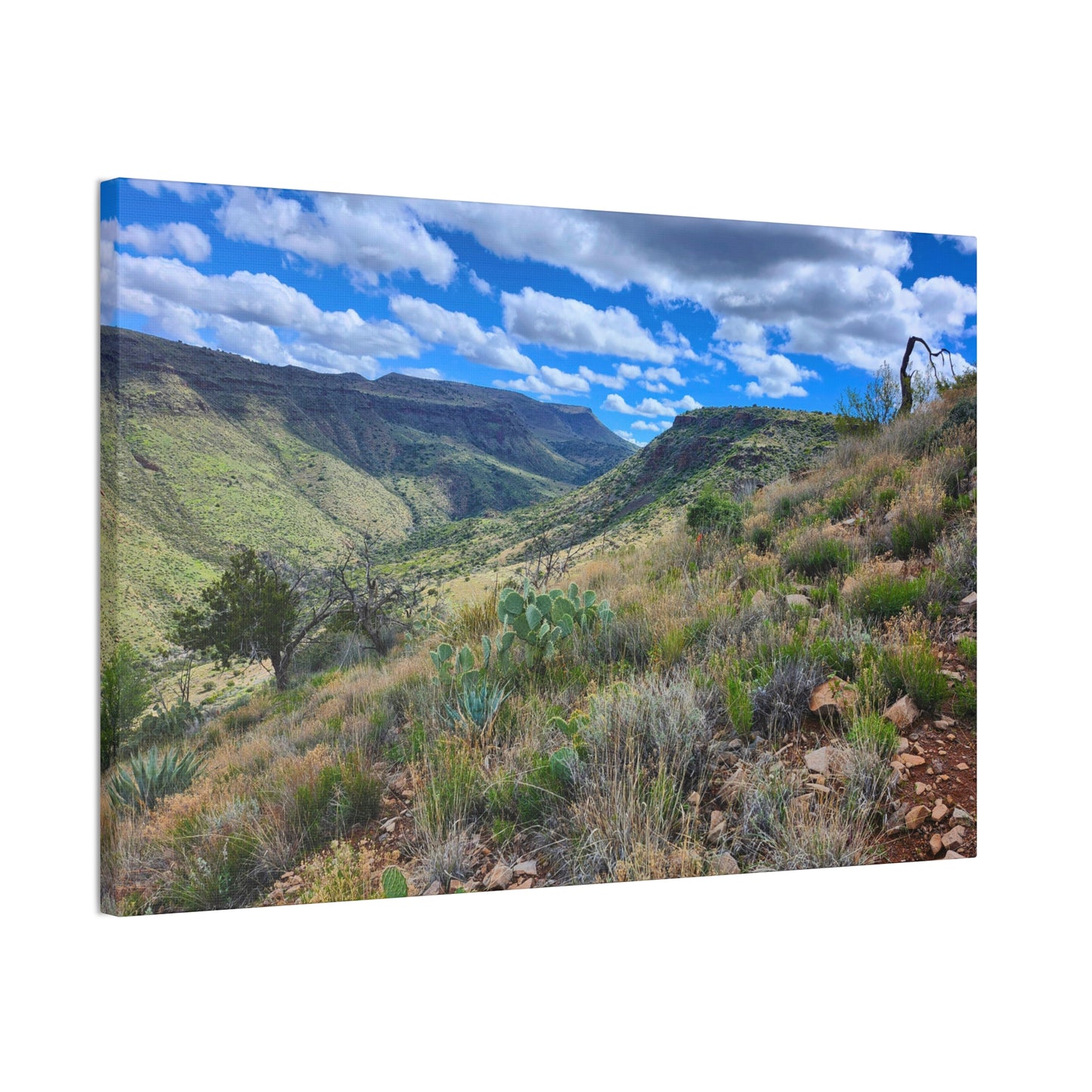 From a Spit off Skull Mesa; Arizona Photography, Wall Art, Natural Landscape Home Decor for Hikers and Nature Lovers!