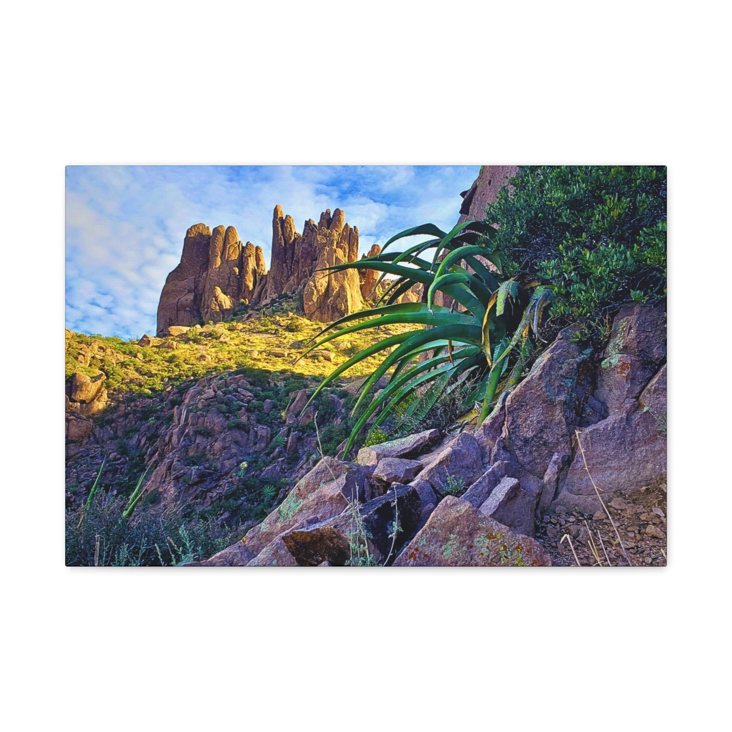 Canvas Gallery Wraps: Succulents and Spires; Arizona Photography, Wall Art, Natural Landscape Home Decor for Hikers and Nature Lovers!