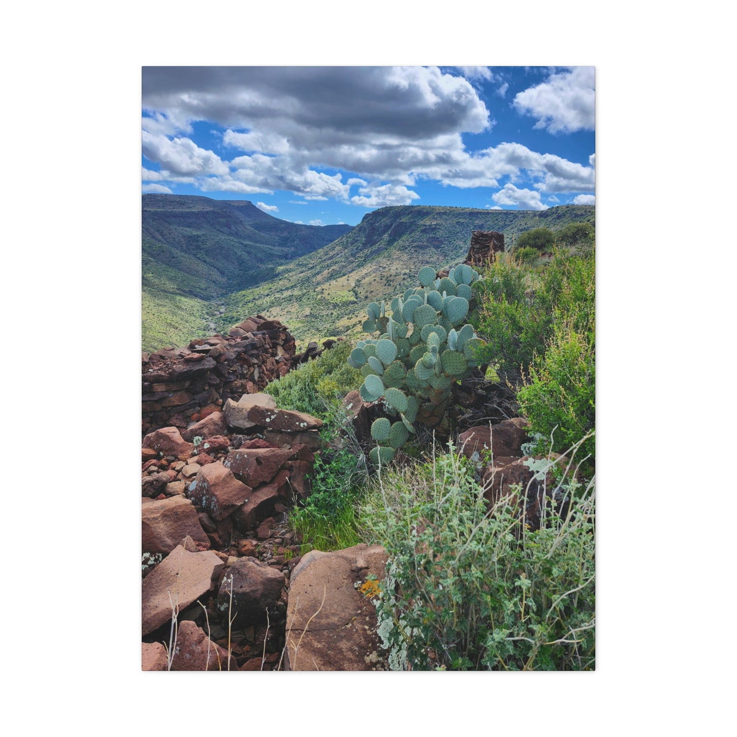 The Ruins of Skull Mesa (#7); Arizona Photography, Wall Art, Natural Landscape Home Decor for Hikers and Nature Lovers!