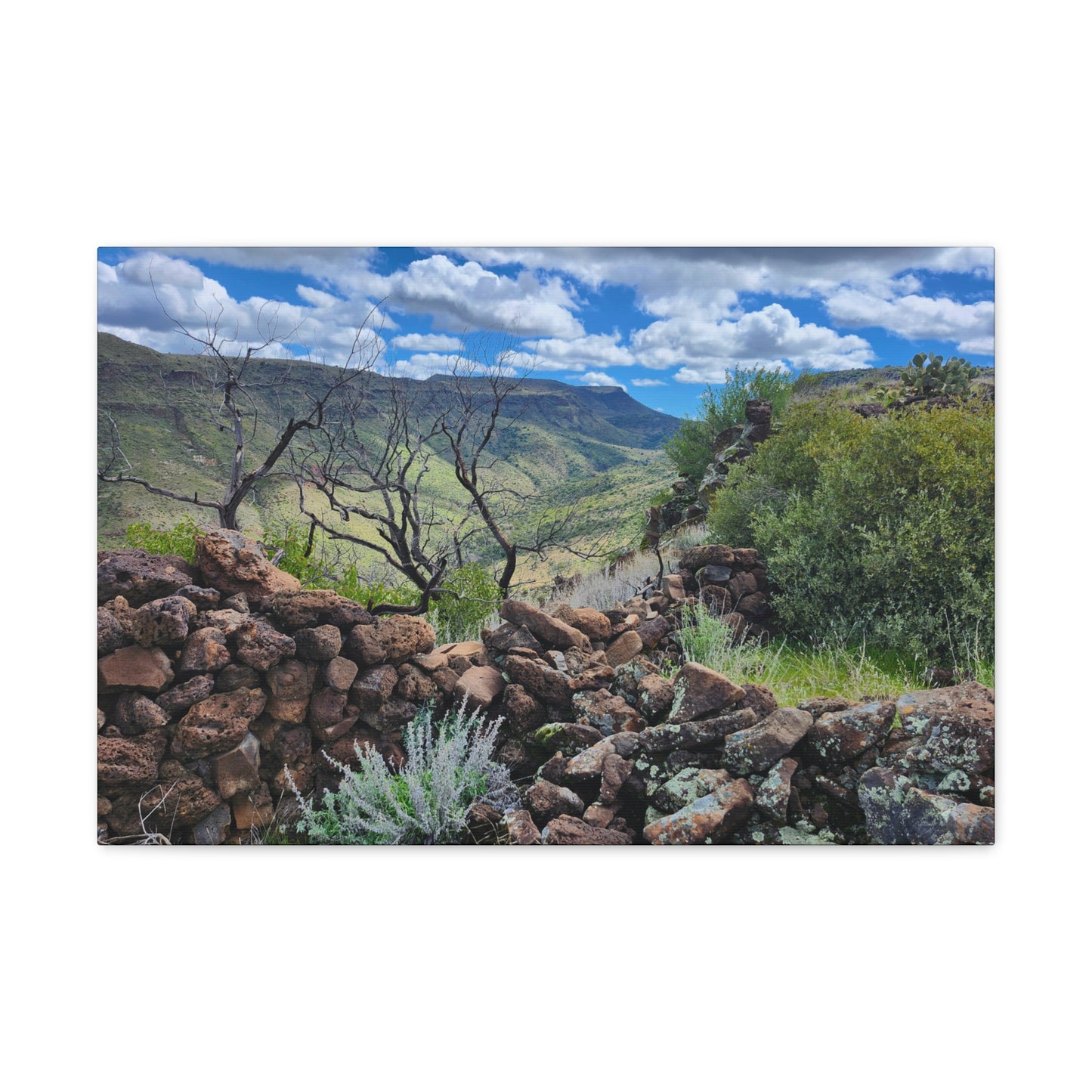 The Ruins of Skull Mesa (#5); Arizona Photography, Wall Art, Natural Landscape Home Decor for Hikers and Nature Lovers!