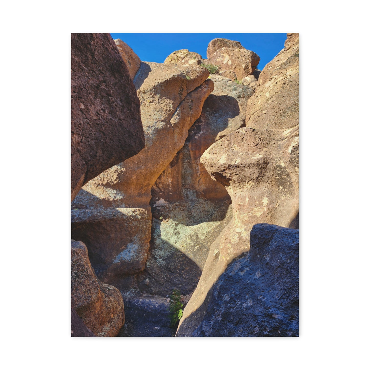 Dinosaurs in Stone; Arizona Photography, Wall Art, Natural Landscape Home Decor for Hikers and Nature Lovers!