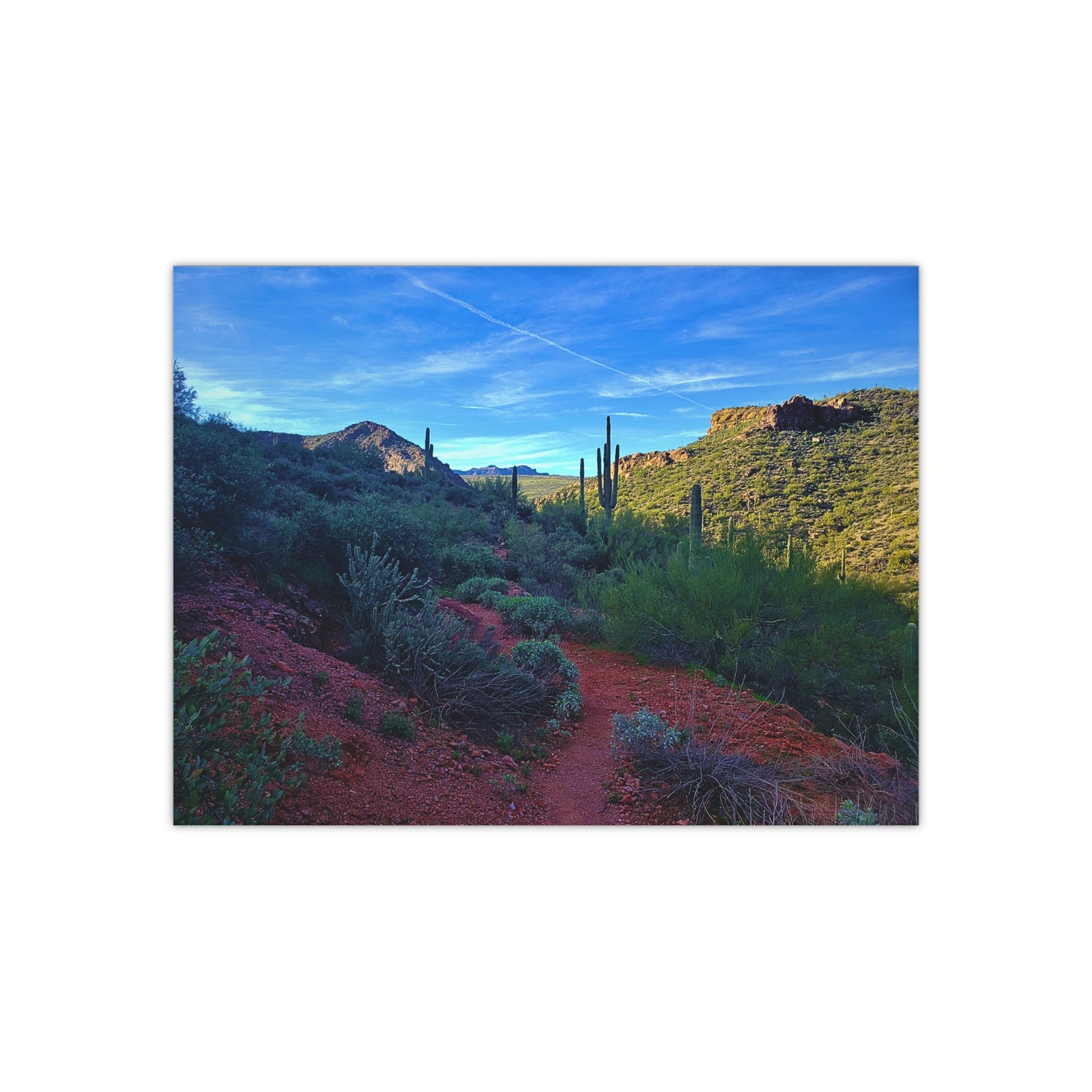 Arizona Poster Print: The Vibrant Desert; Arizona Photography, Wall Art, Natural Landscape Home Decor for Hikers and Nature Lovers!