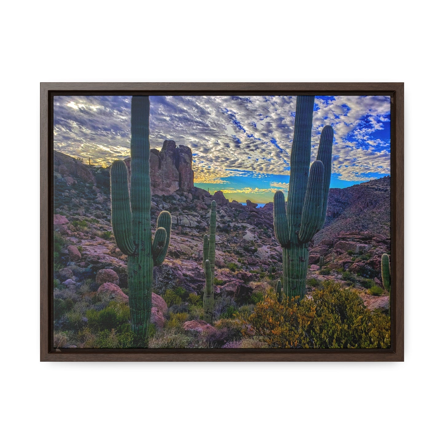 Framed Canvas Gallery Wraps: Mountaintop Saguaros; Arizona Photography, Wall Art, Natural Landscape Home Decor for Hikers and Nature Lovers!