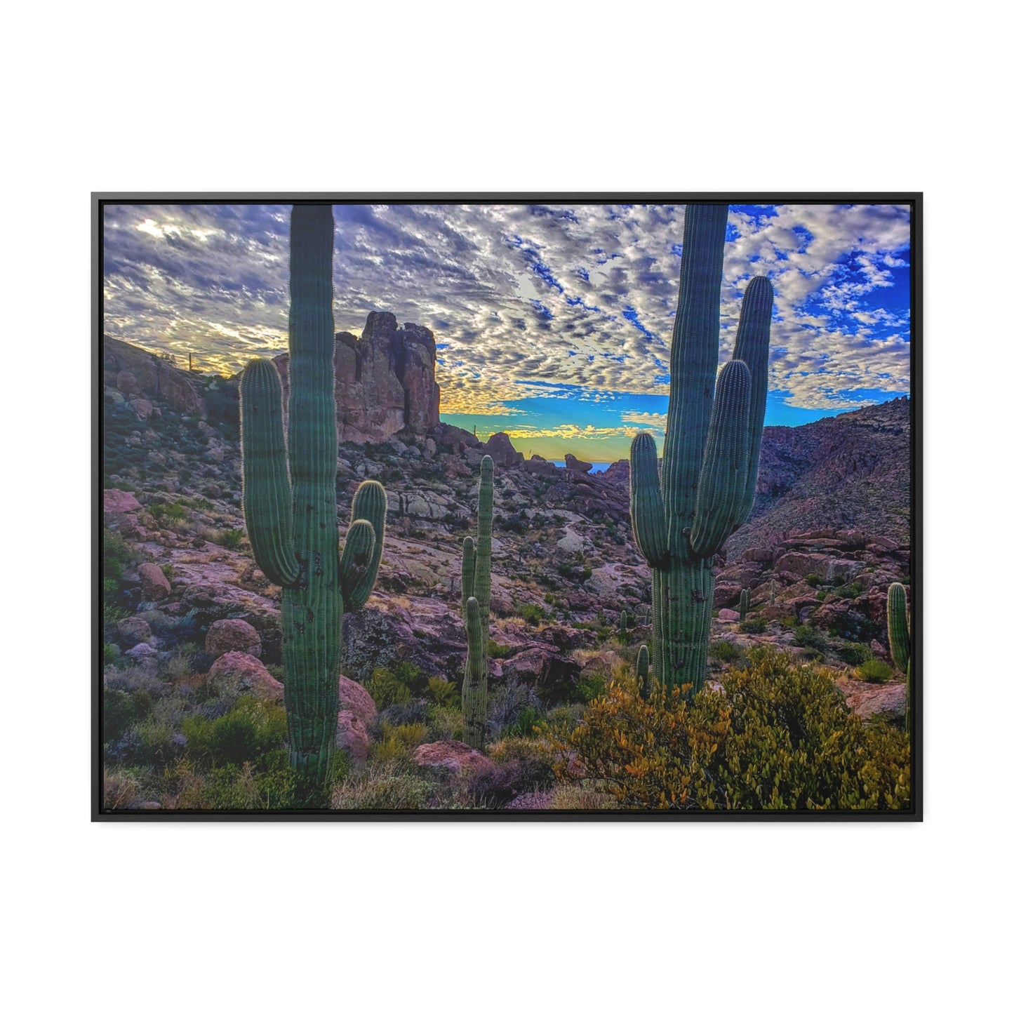 Framed Canvas Gallery Wraps: Mountaintop Saguaros; Arizona Photography, Wall Art, Natural Landscape Home Decor for Hikers and Nature Lovers!