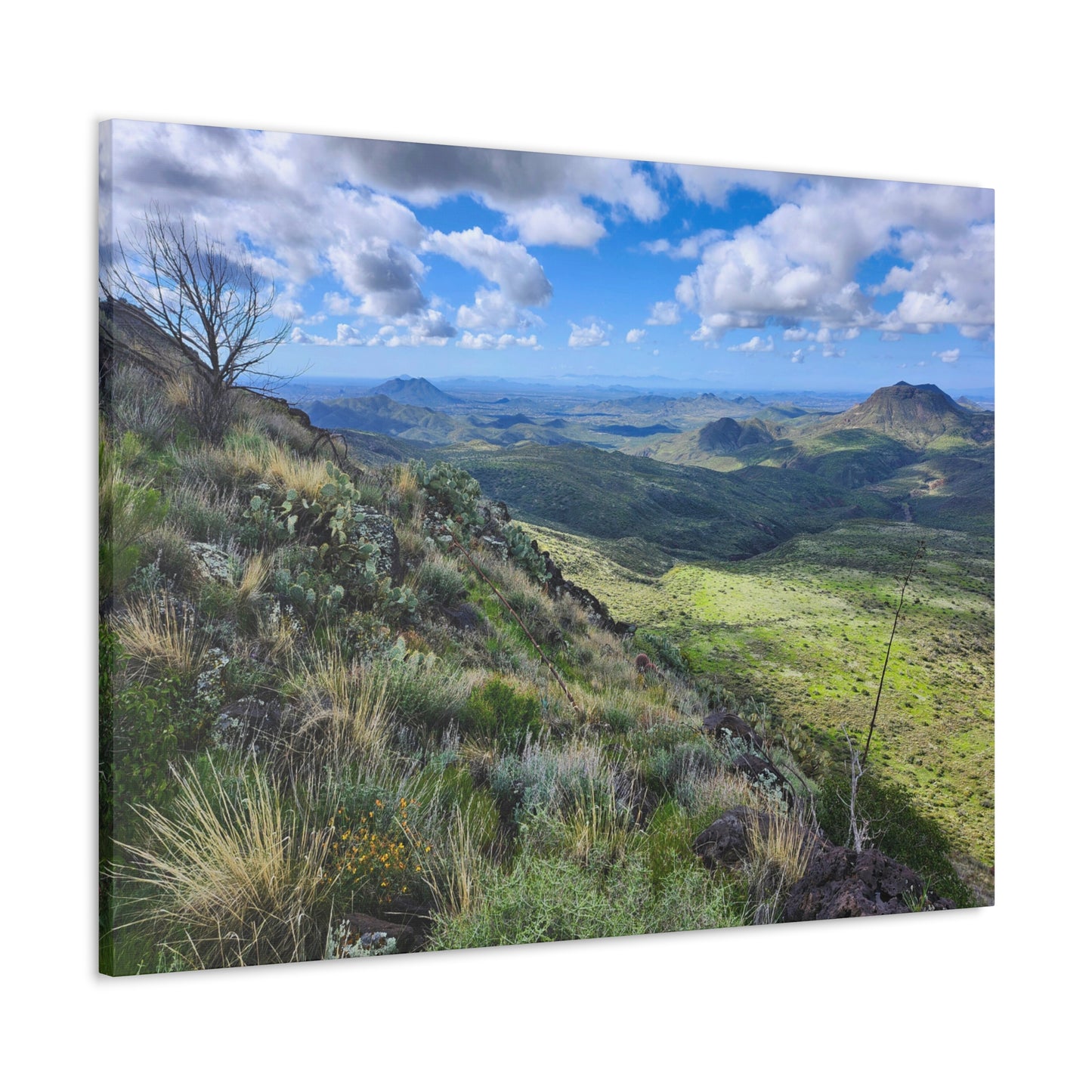 A Gorgeous View from Skull Mesa; Arizona Photography, Wall Art, Natural Landscape Home Decor for Hikers and Nature Lovers!